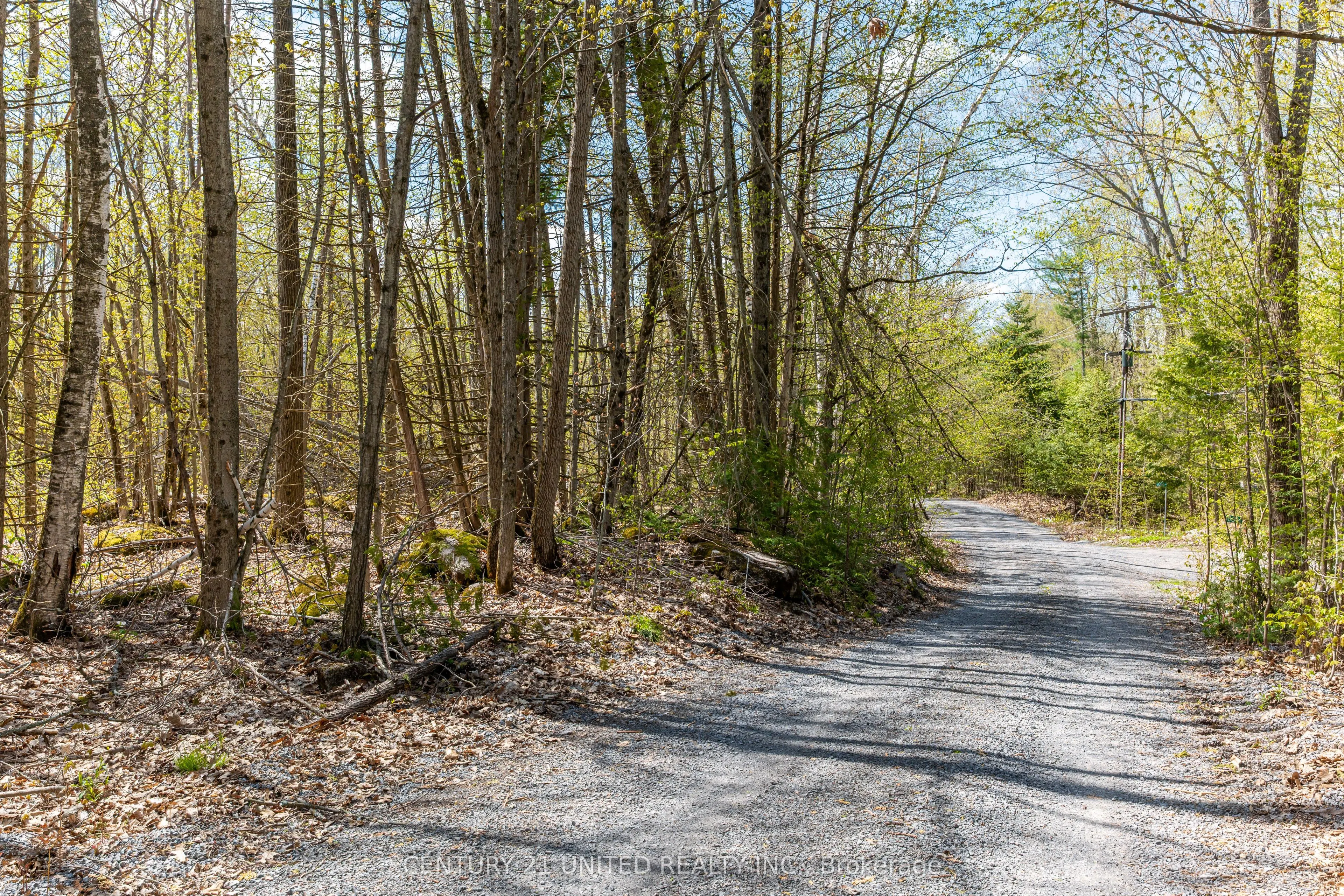 1030 Birchview Road