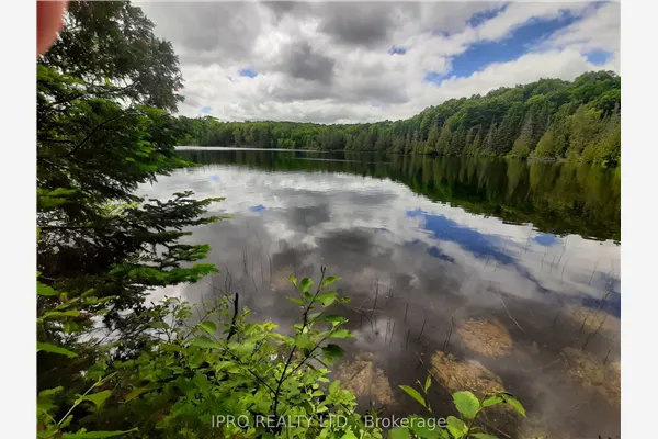 6447 Opeongo Road