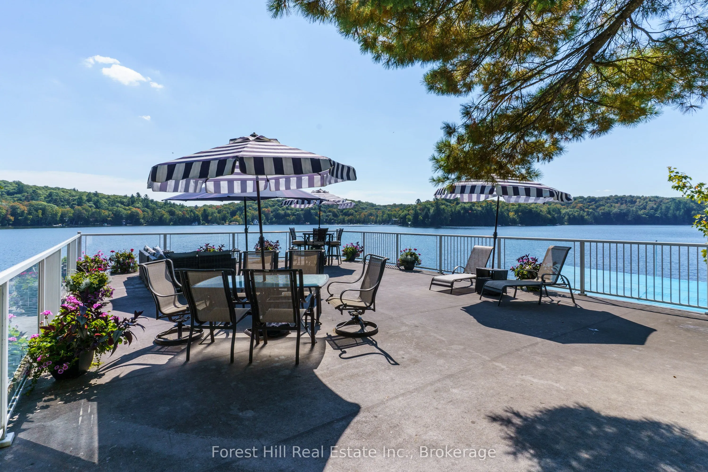 29SL4 Clifton Island
