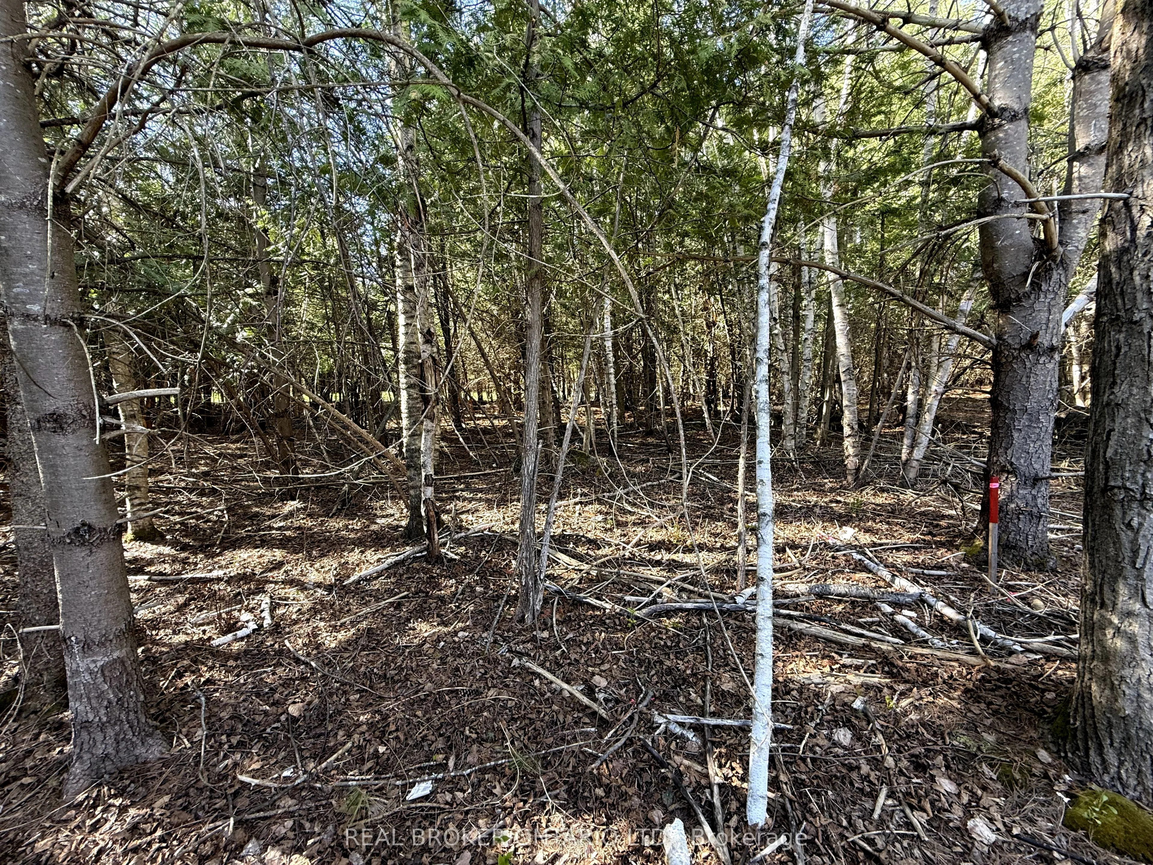 Lot 2 Watsons Corners Road