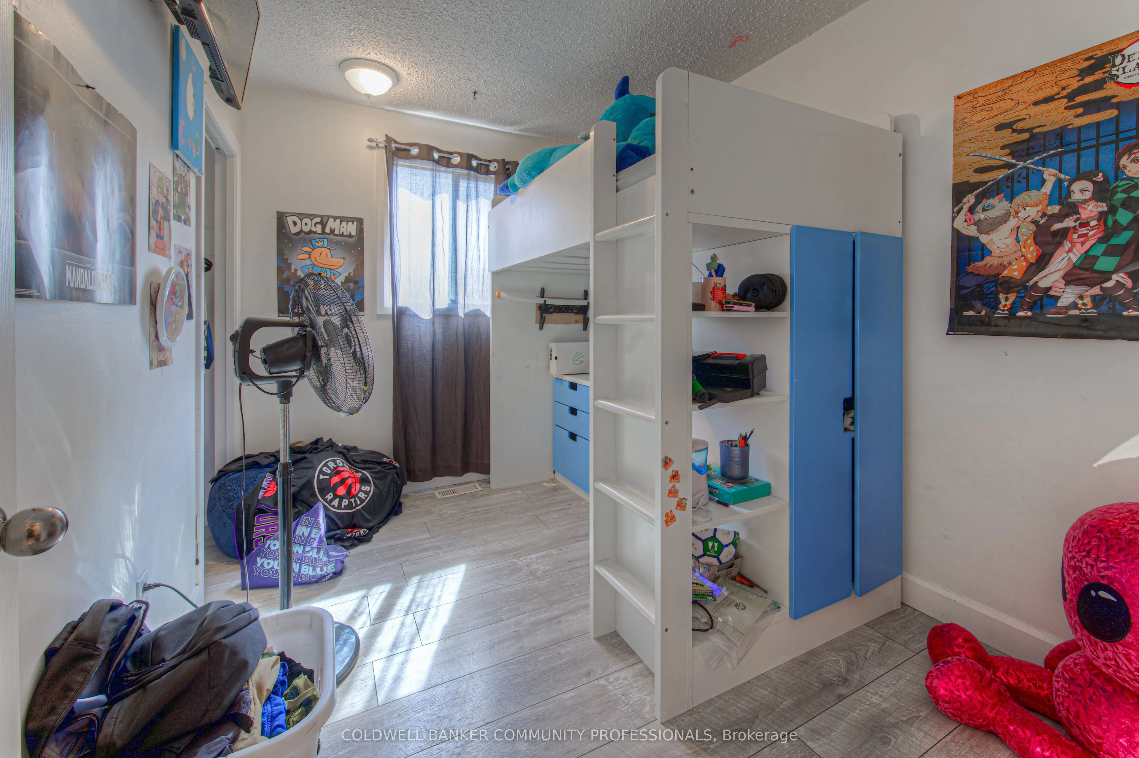 10 Palomino Drive