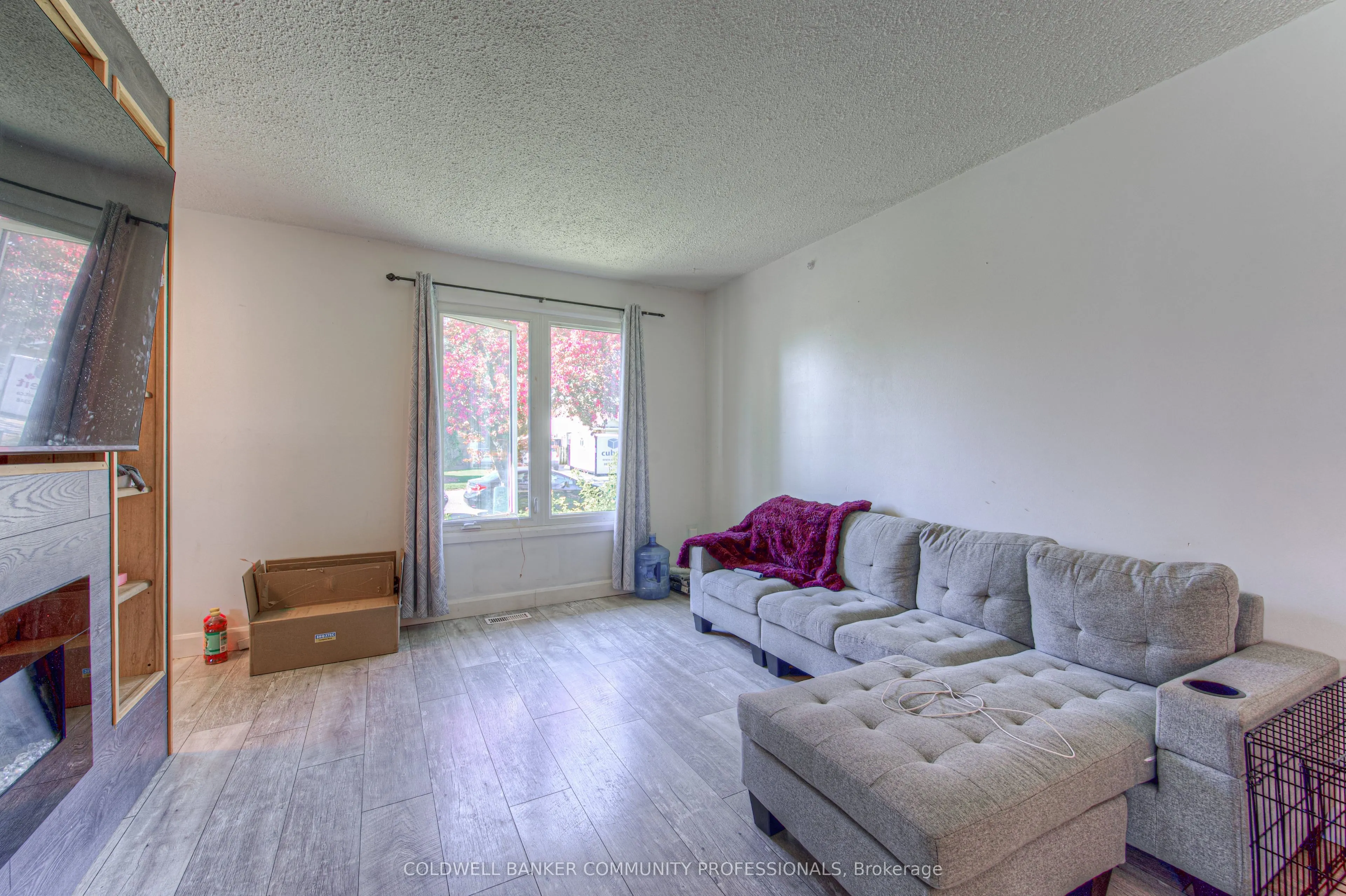 10 Palomino Drive