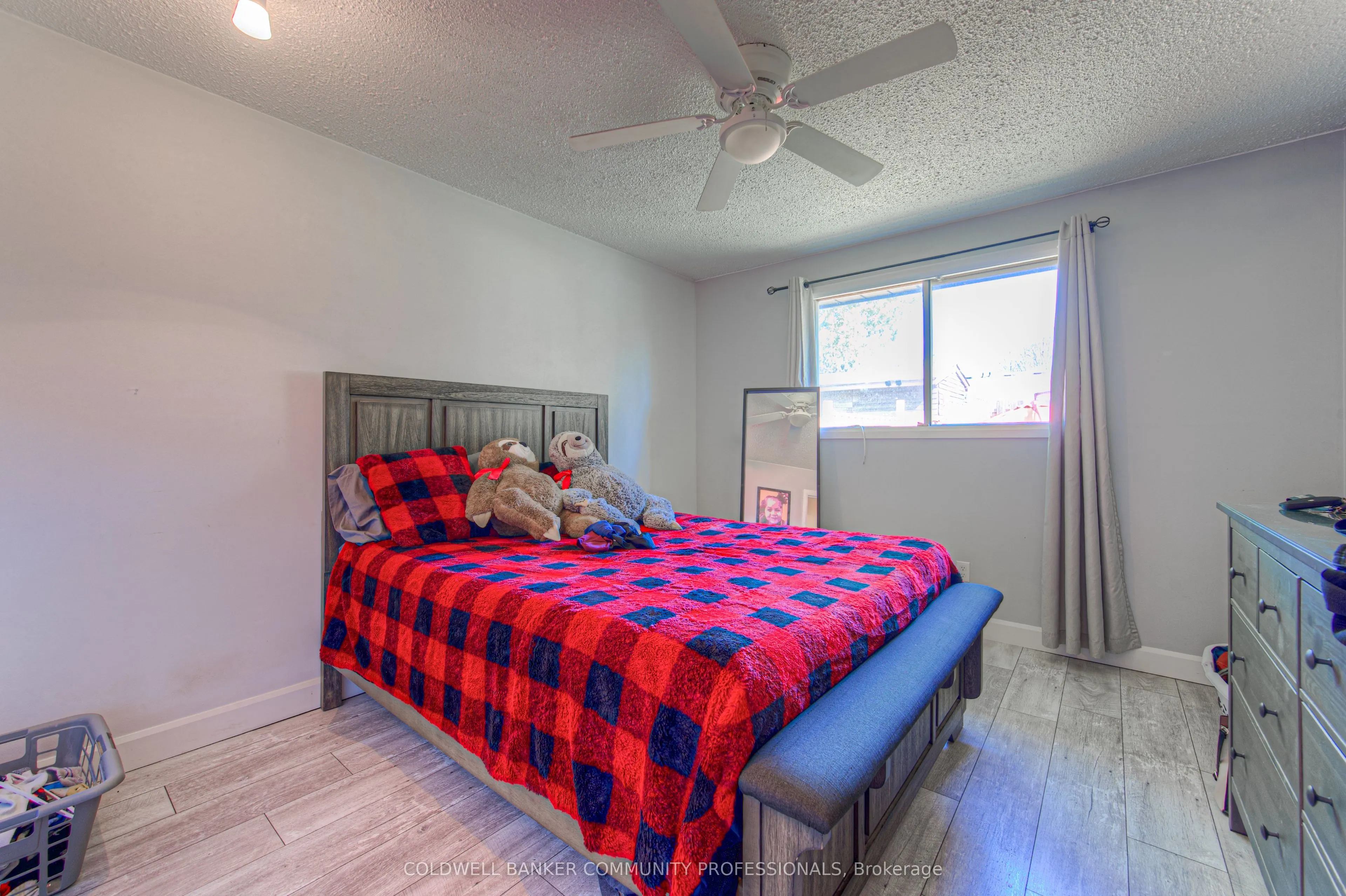 10 Palomino Drive