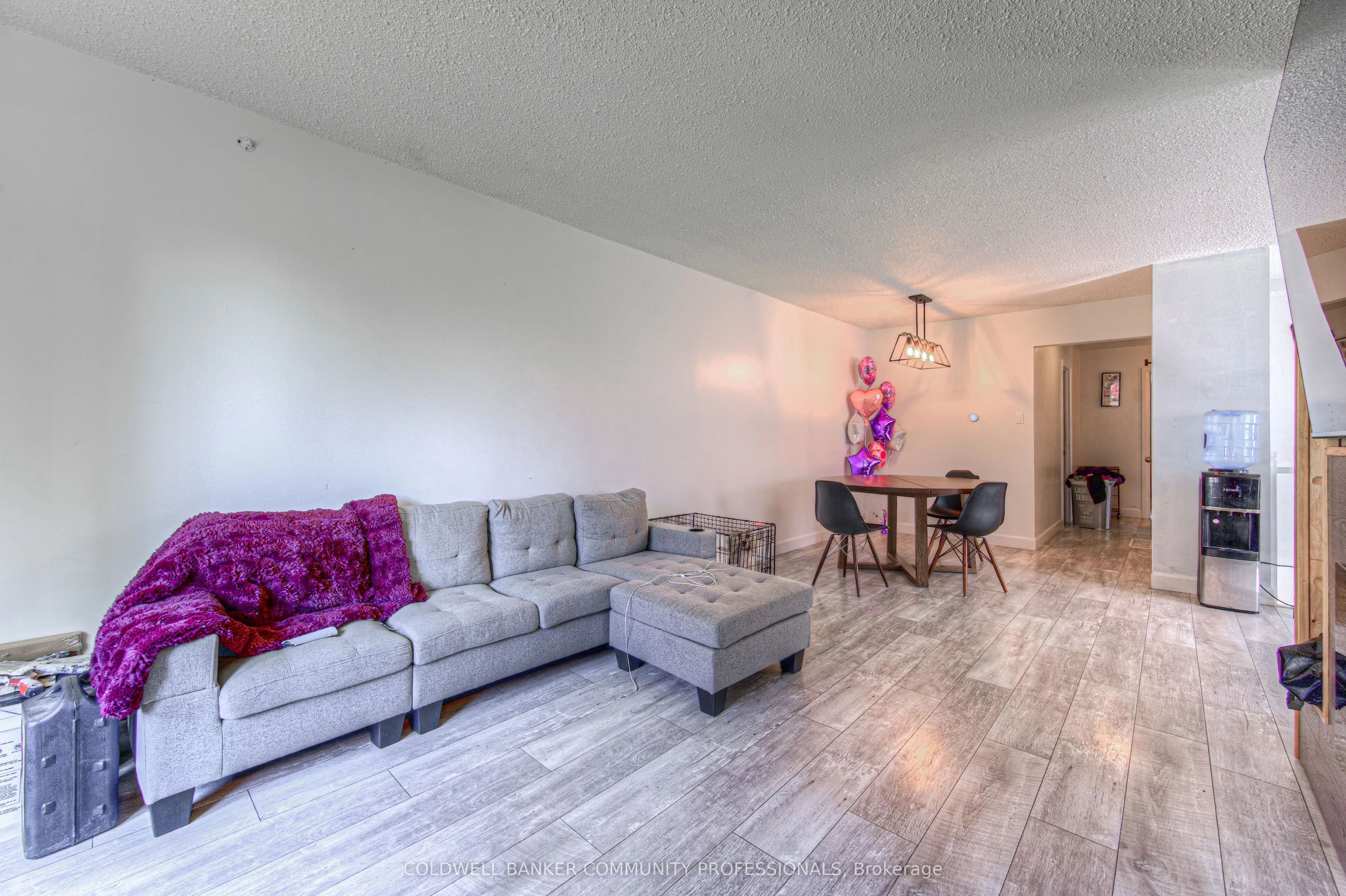 10 Palomino Drive