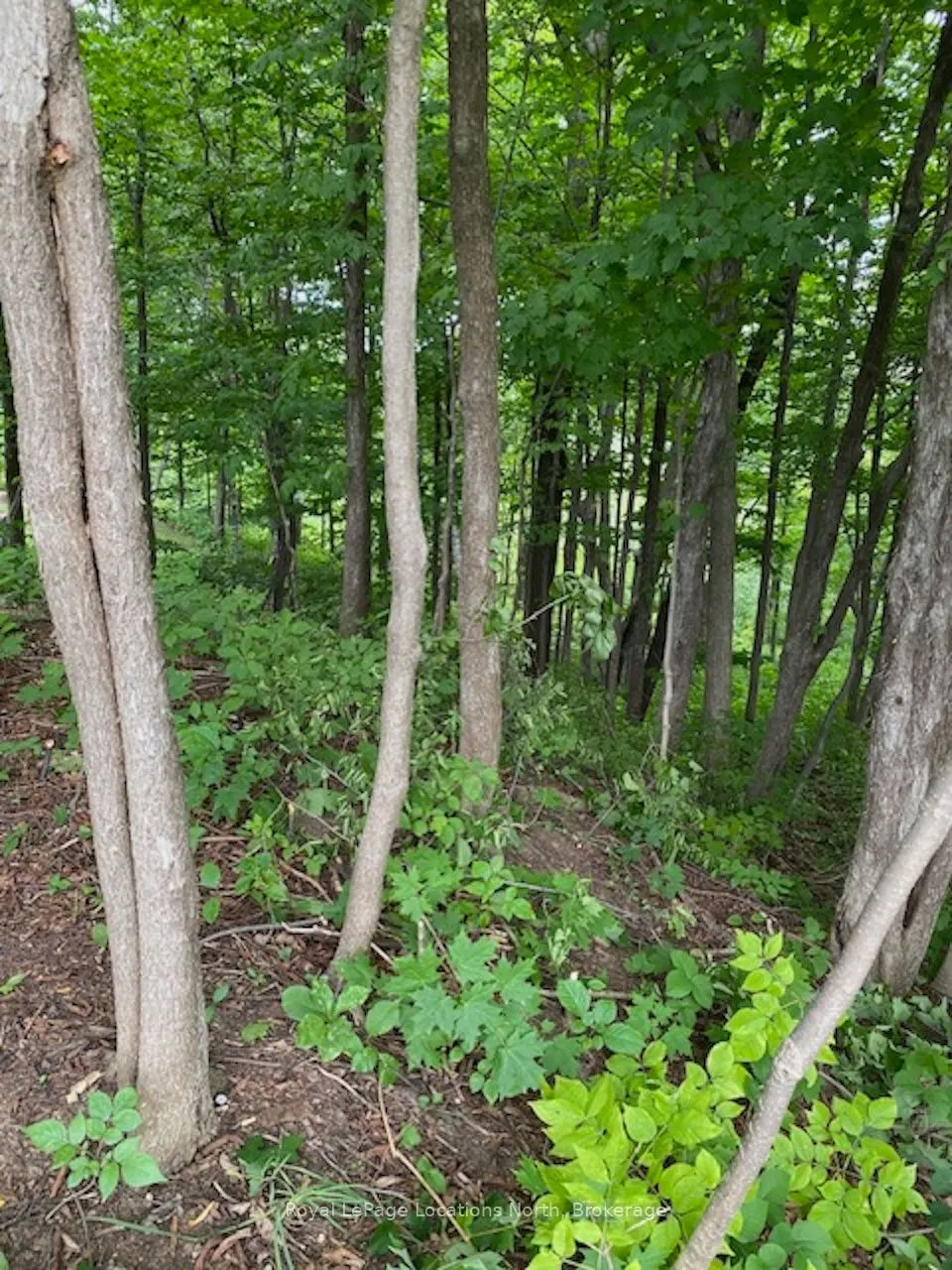 PTLT 40 12 Concession