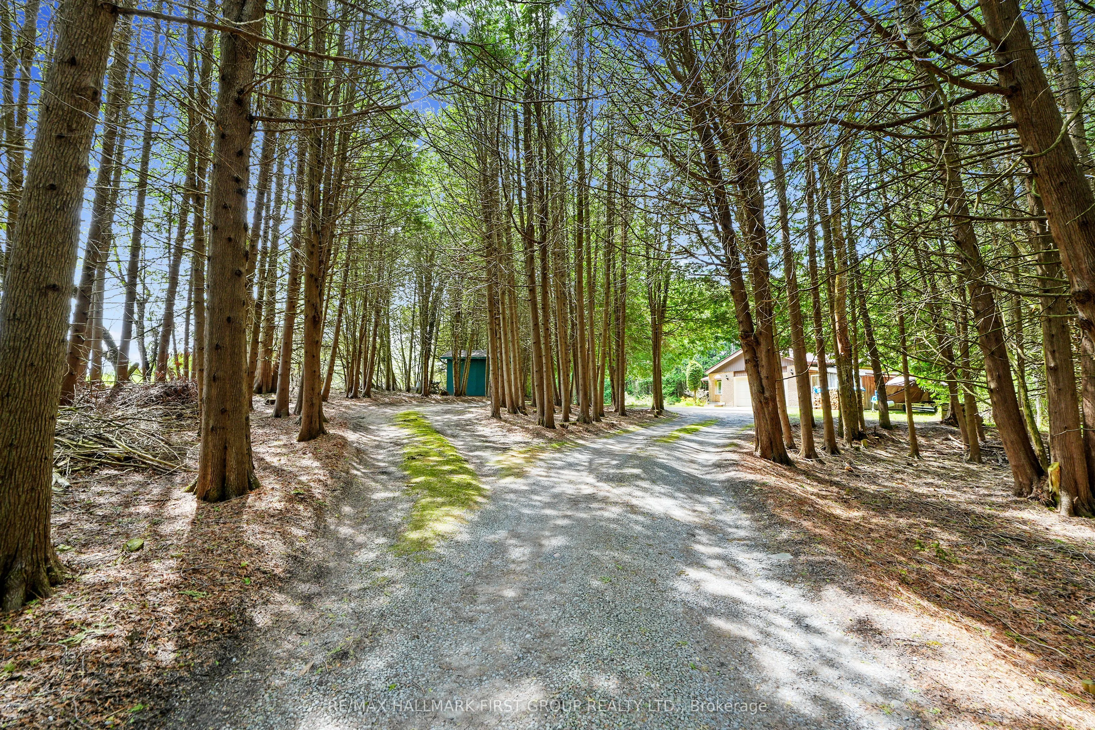 6200 Campbell Road