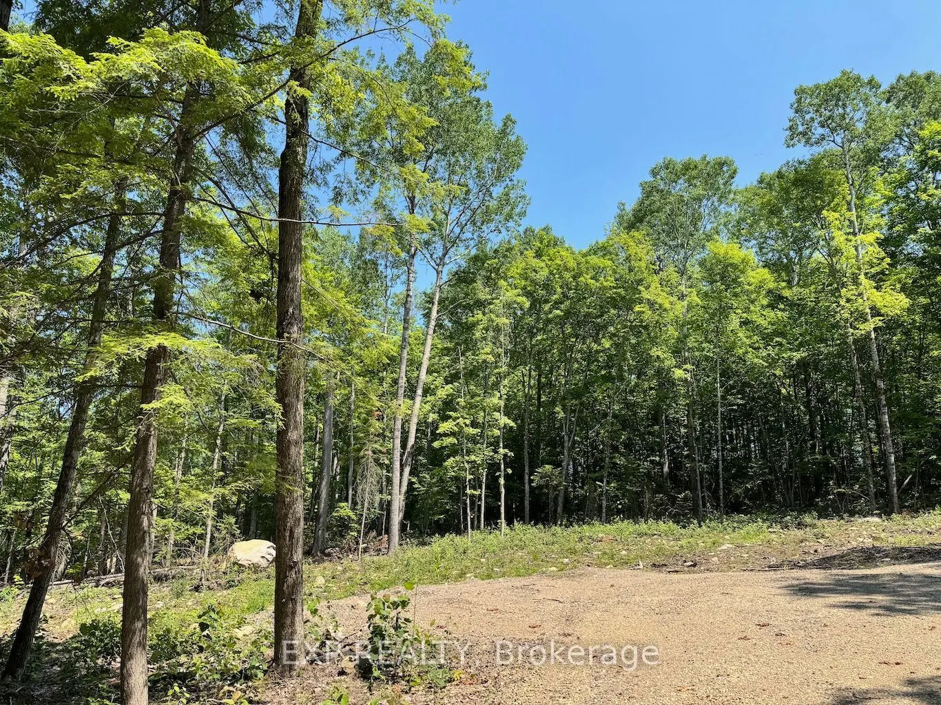 Lot 2 Lakewoods Drive