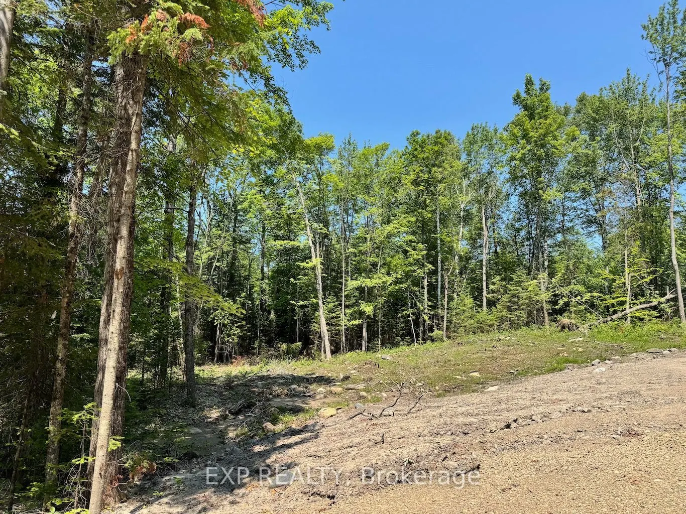 Lot 8 Lakewoods Drive