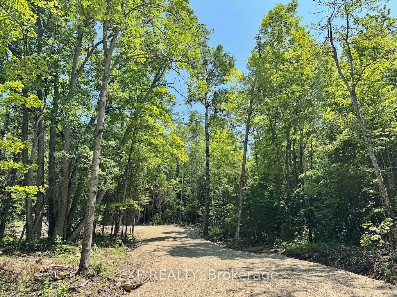 Lot 8 Lakewoods Drive