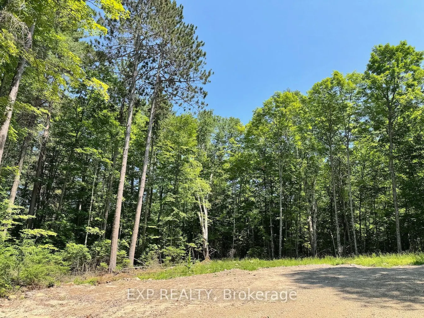 Lot 17 Lakewoods Drive