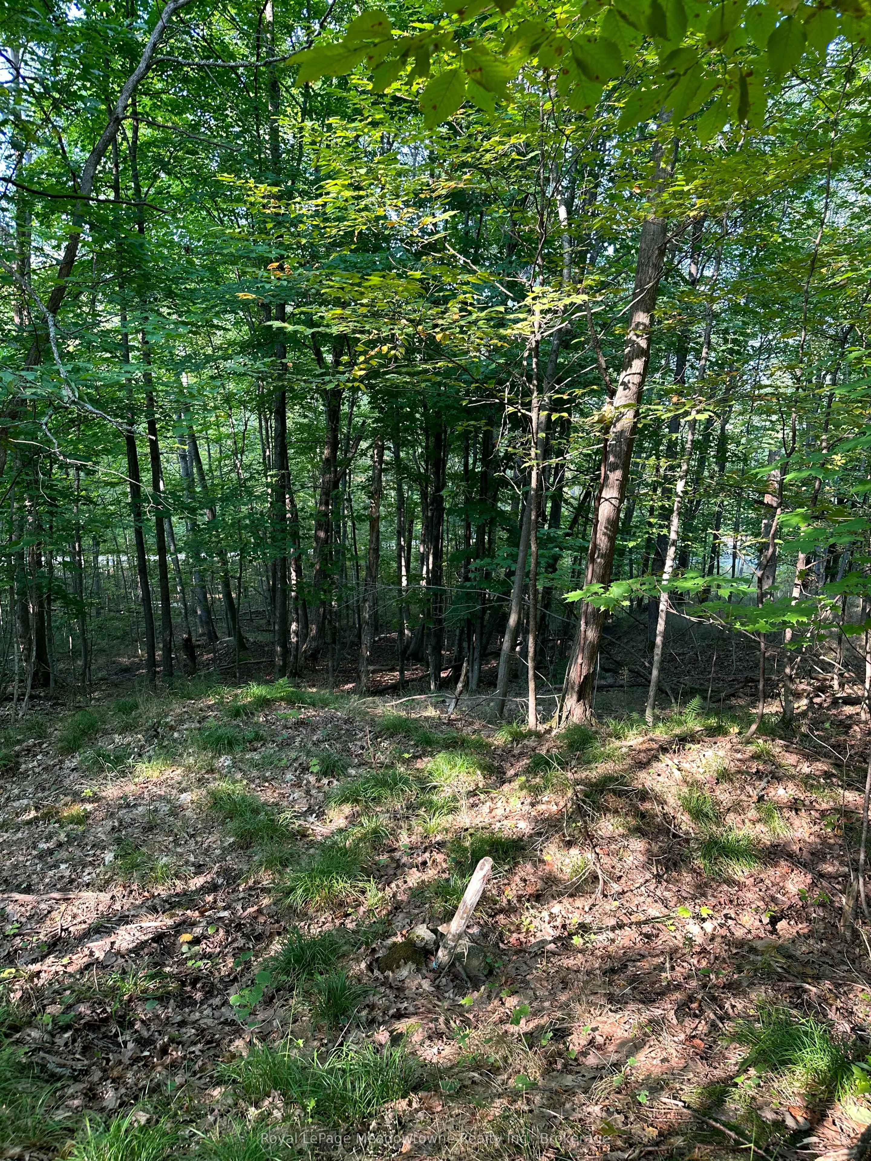 1000 Island Park Road