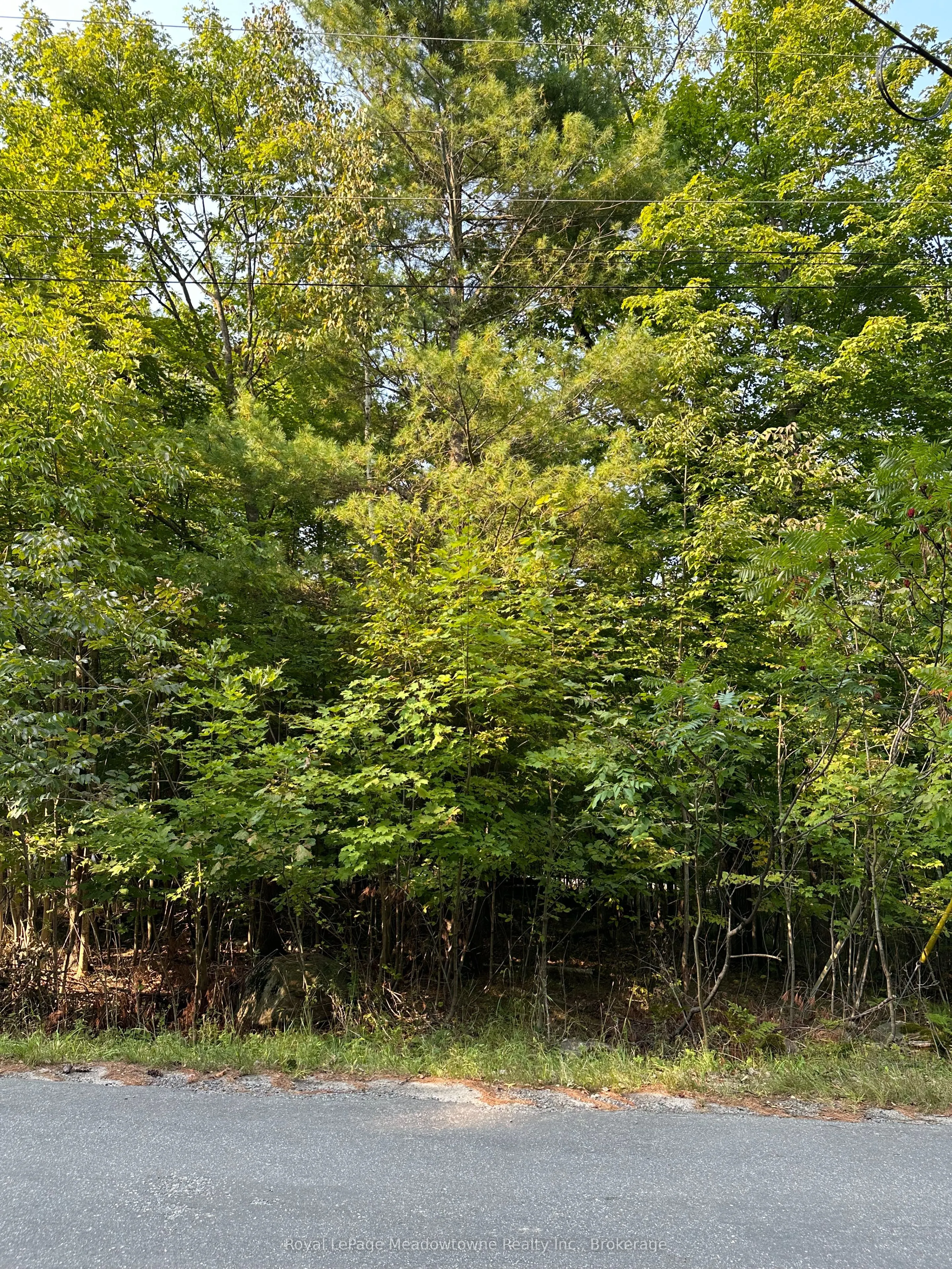 1000 Island Park Road