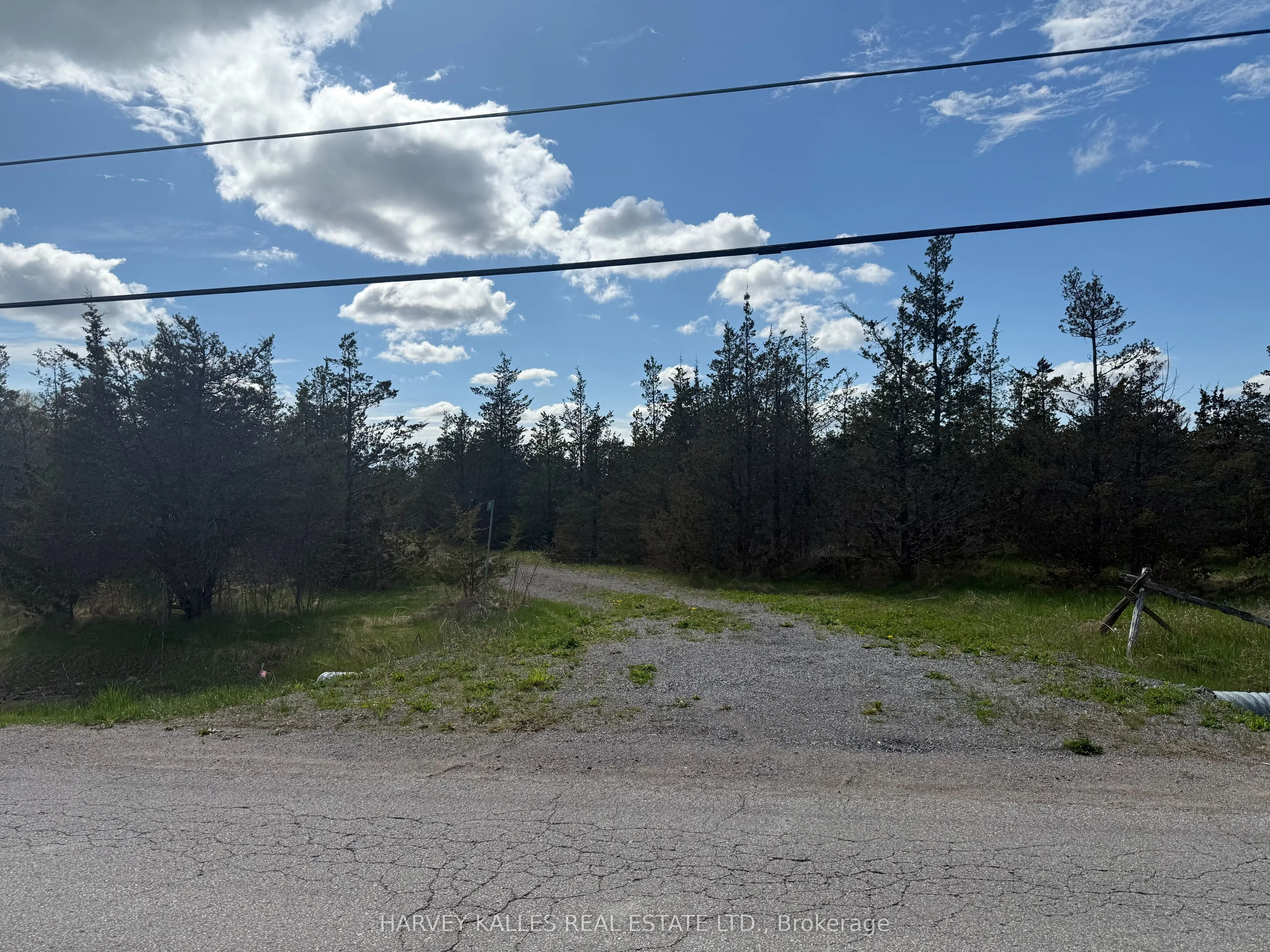390 County Road 25