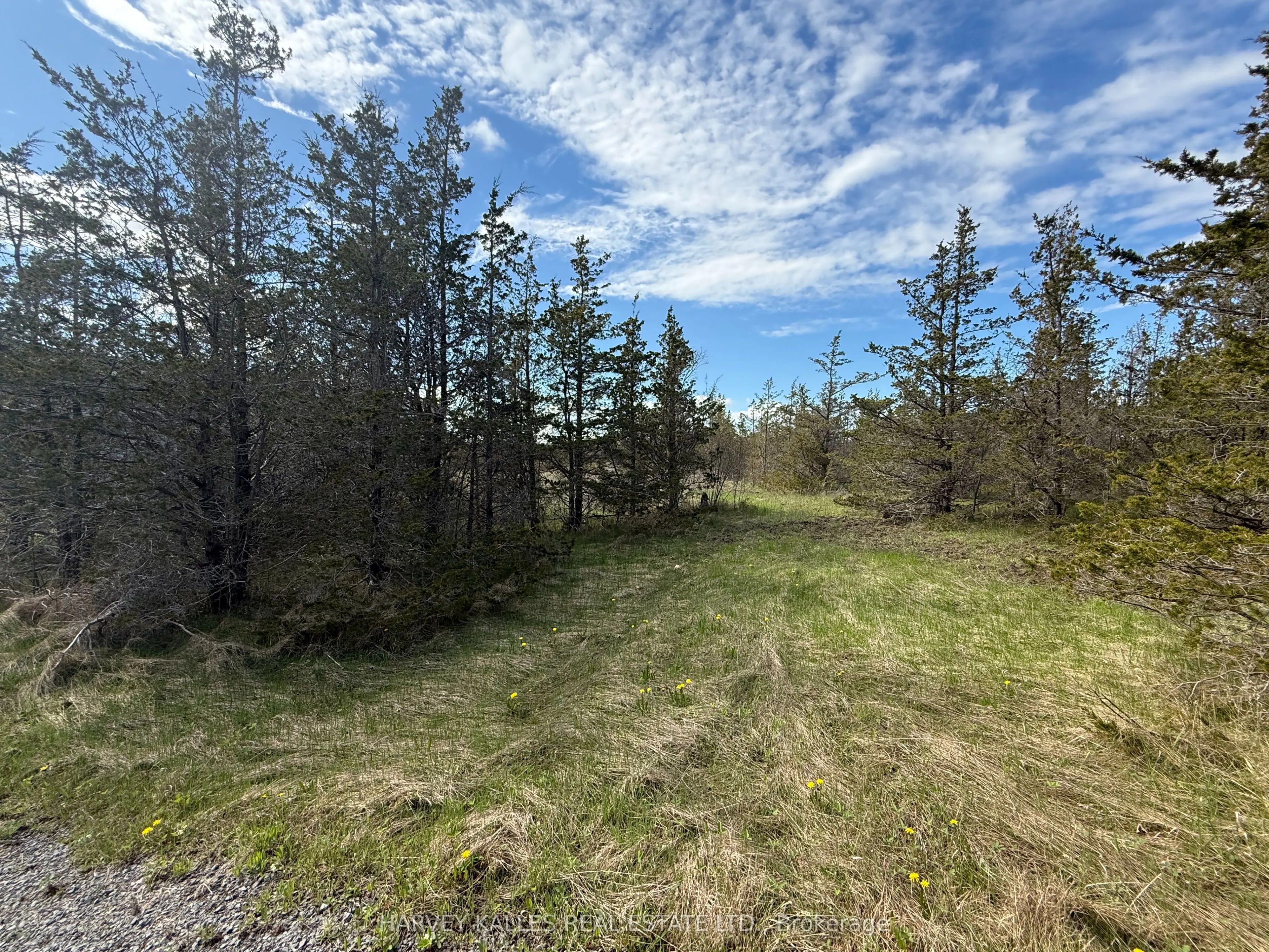 390 County Road 25