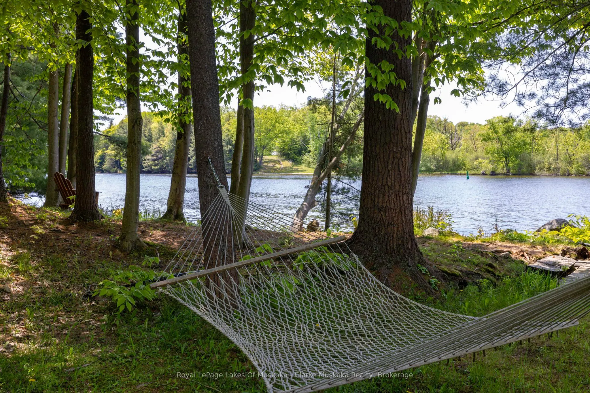 1007 OMINECA Road, #6