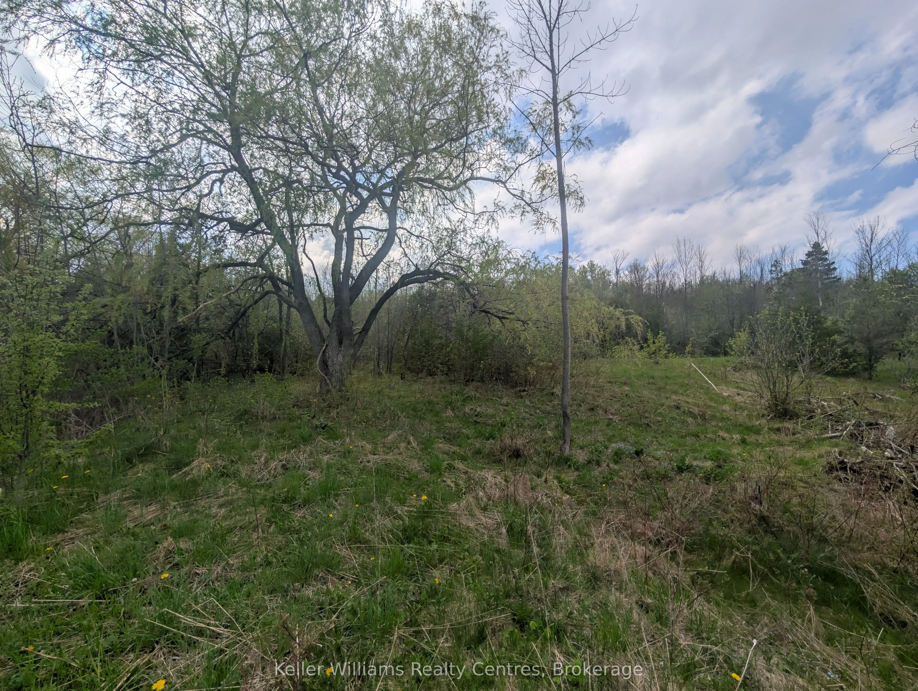 454 Balmy Beach Road