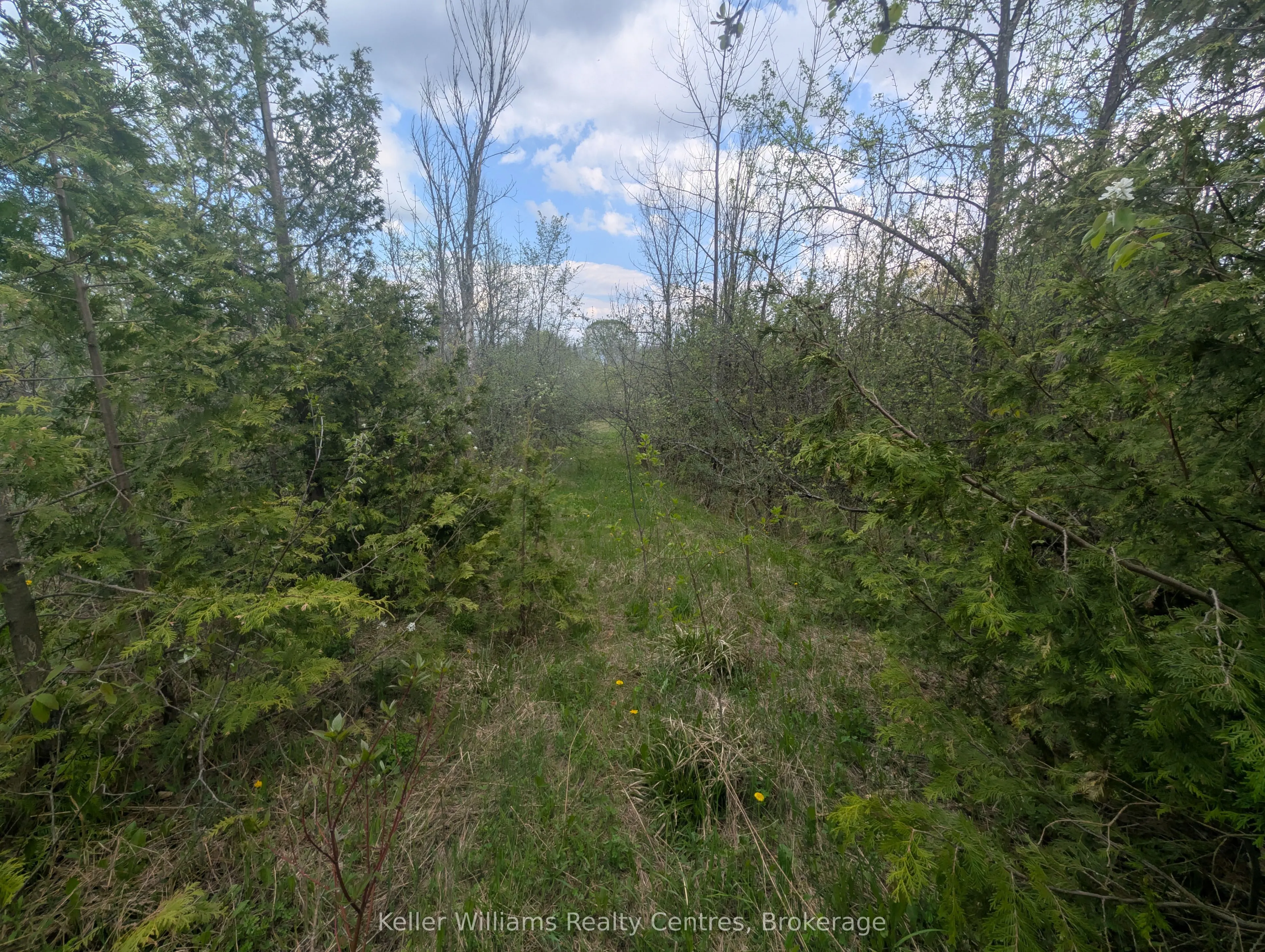 454 Balmy Beach Road