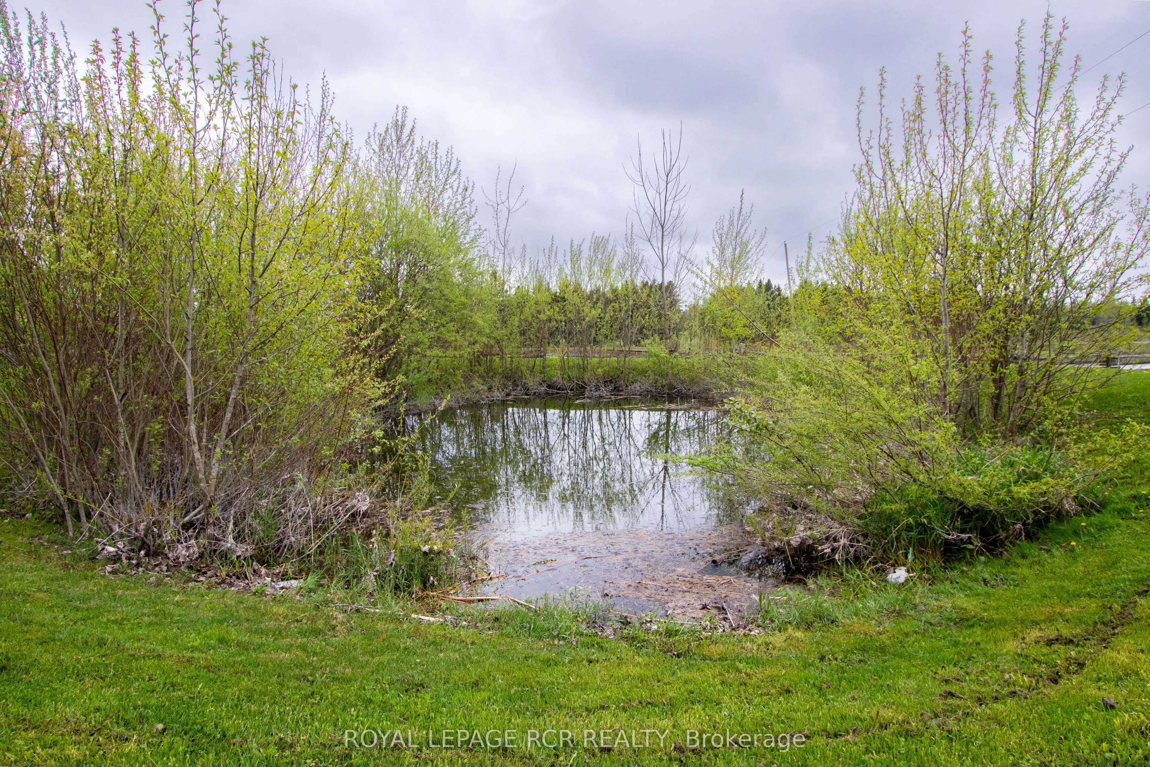 125795 Southgate Rd 12 Road