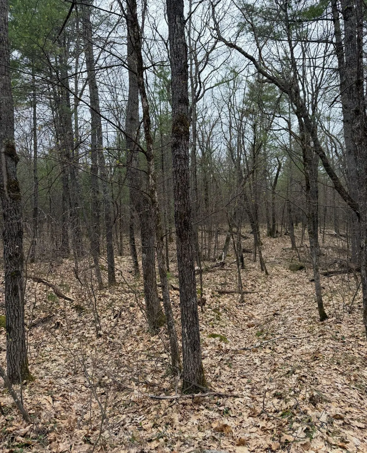 0 Bucholtz Road