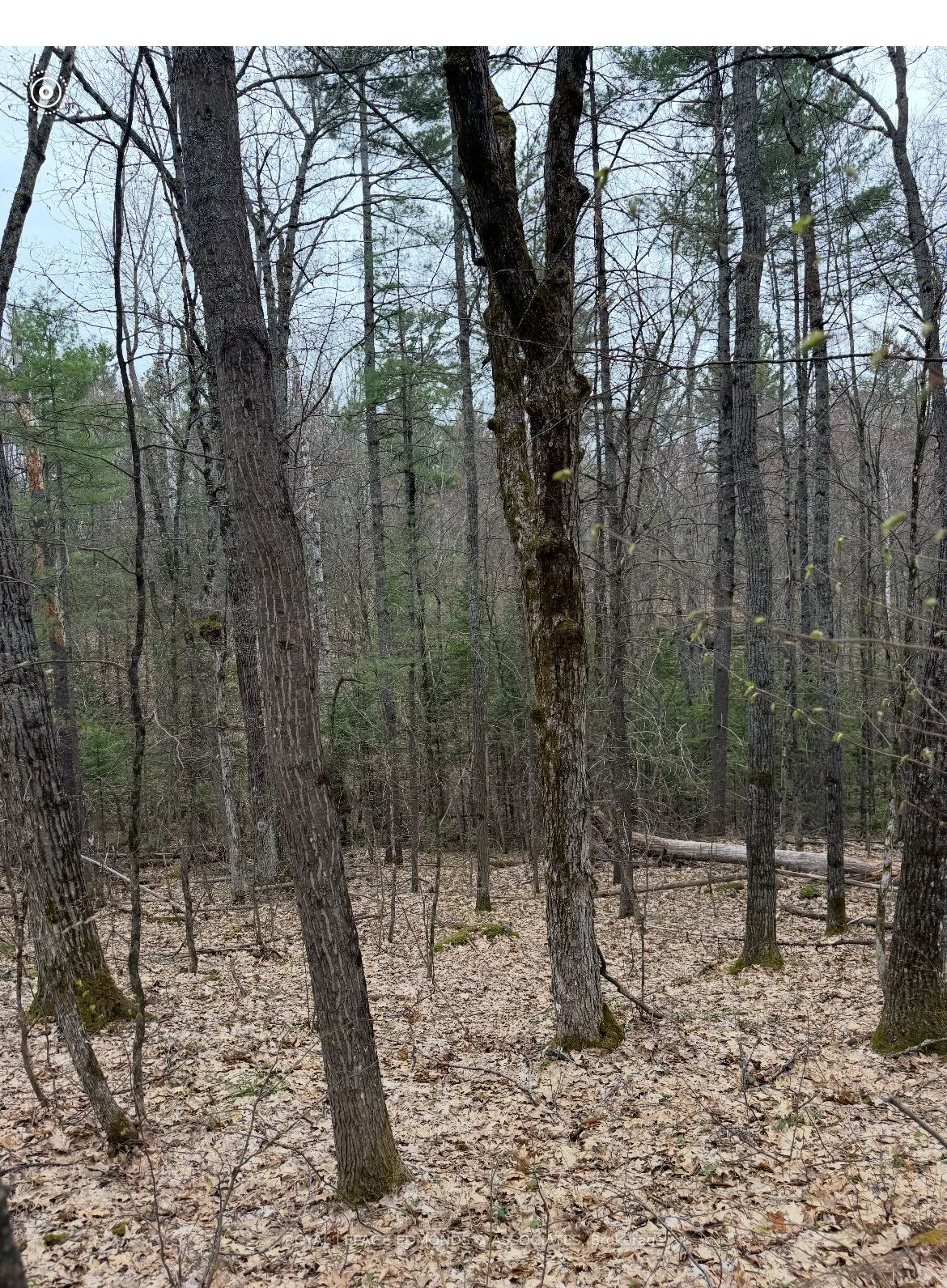 0 Bucholtz Road