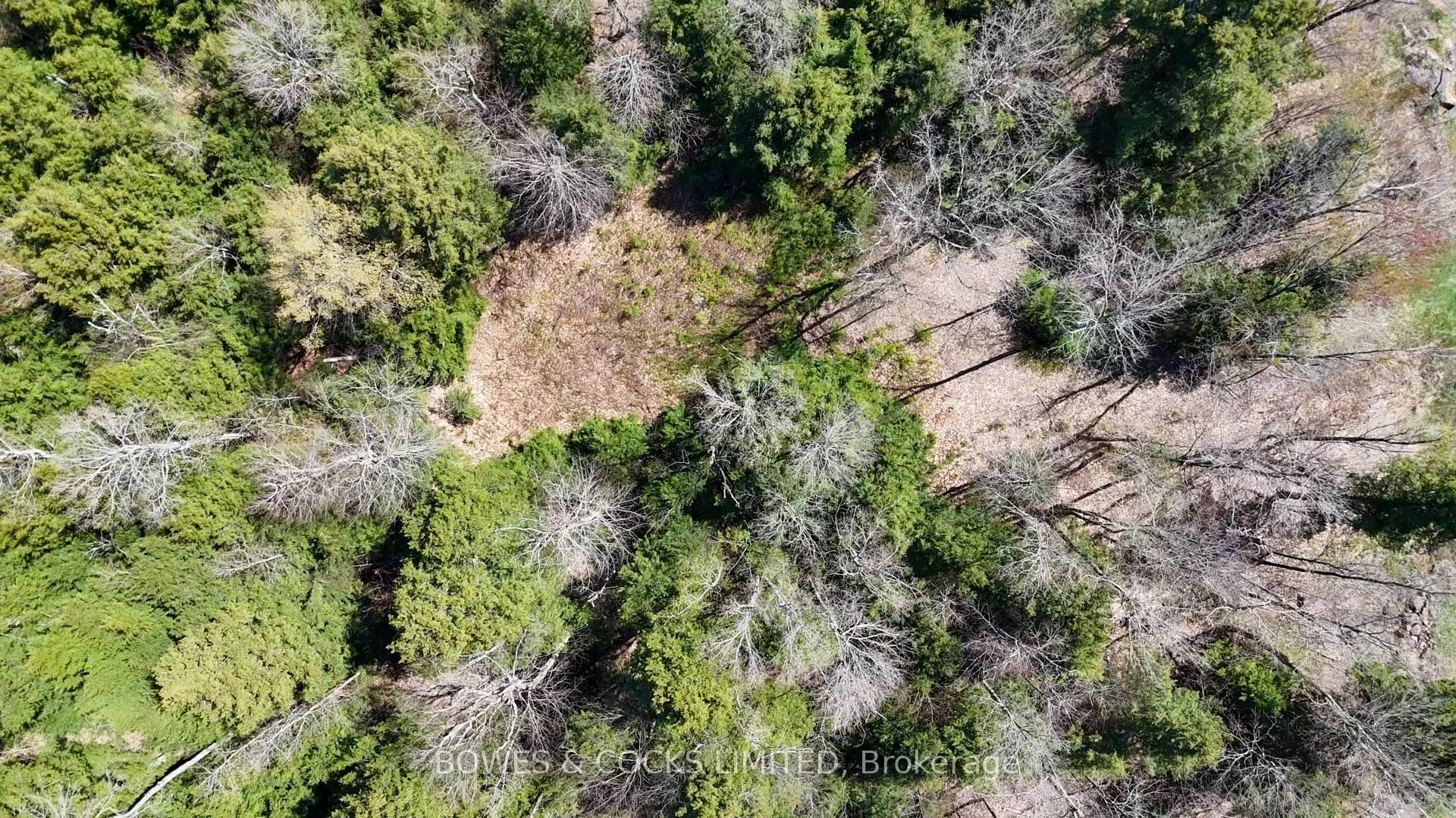 1160 Balmer Road