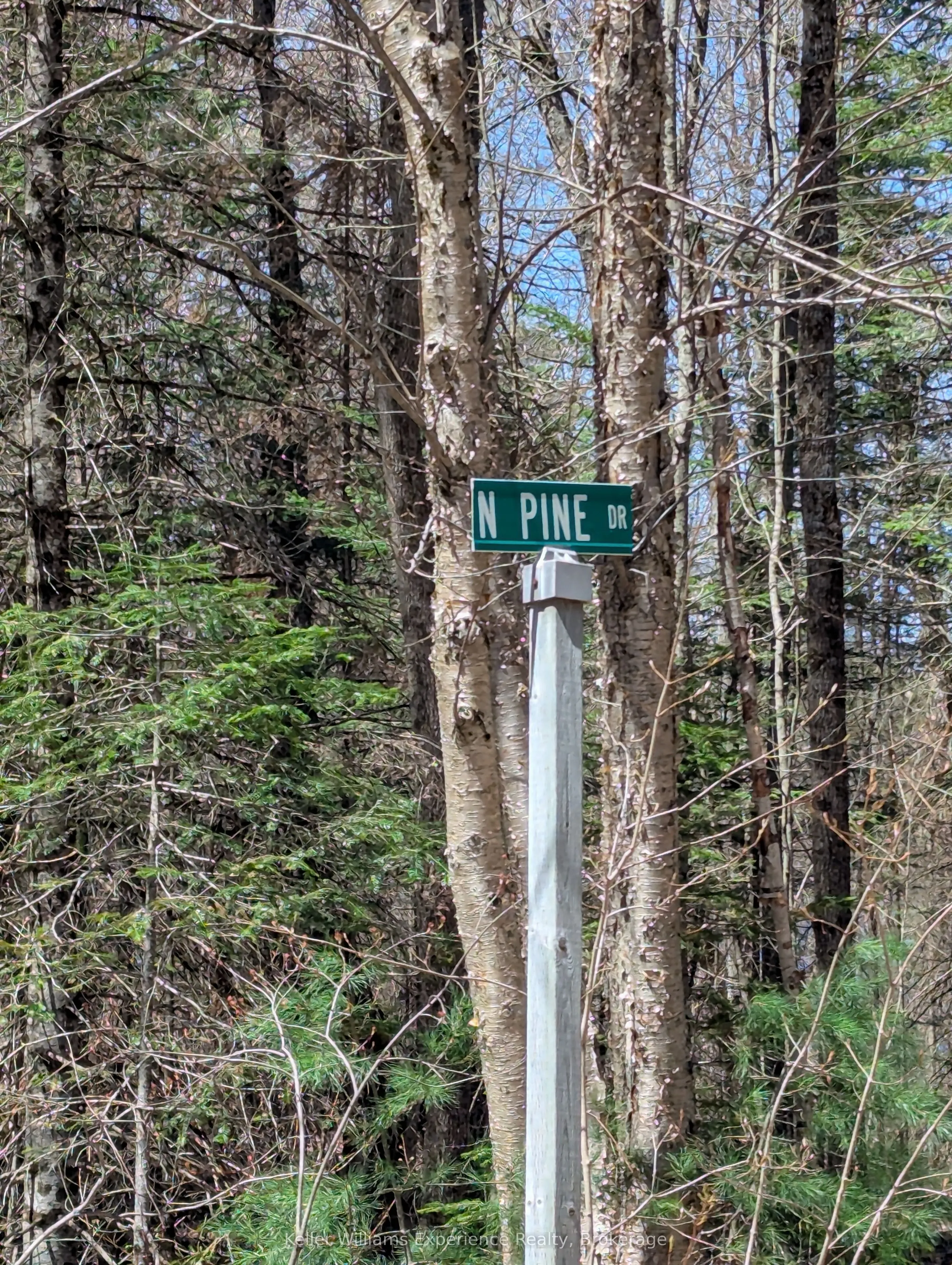 0 N Pine Drive