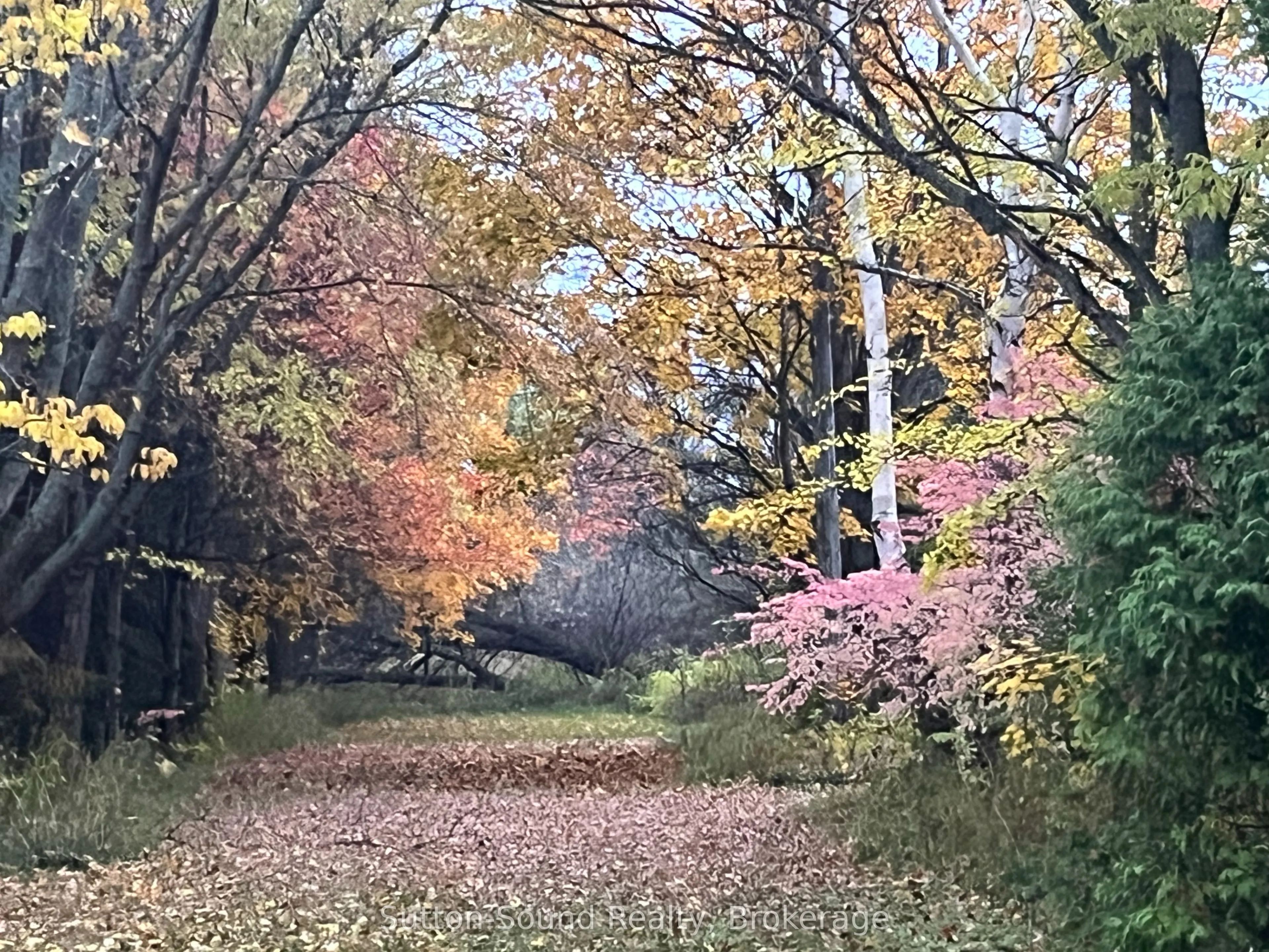 382105 17 Concession