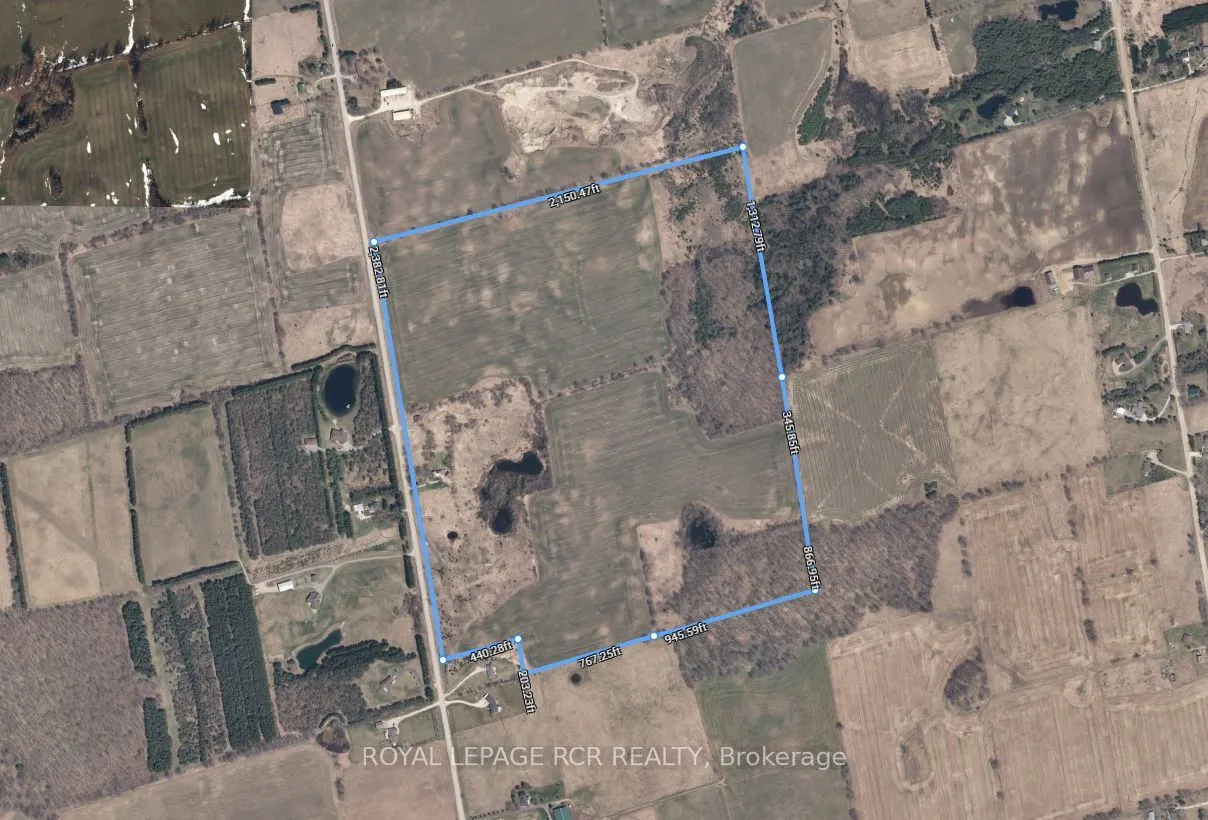 555463 Mono-Amaranth Townline