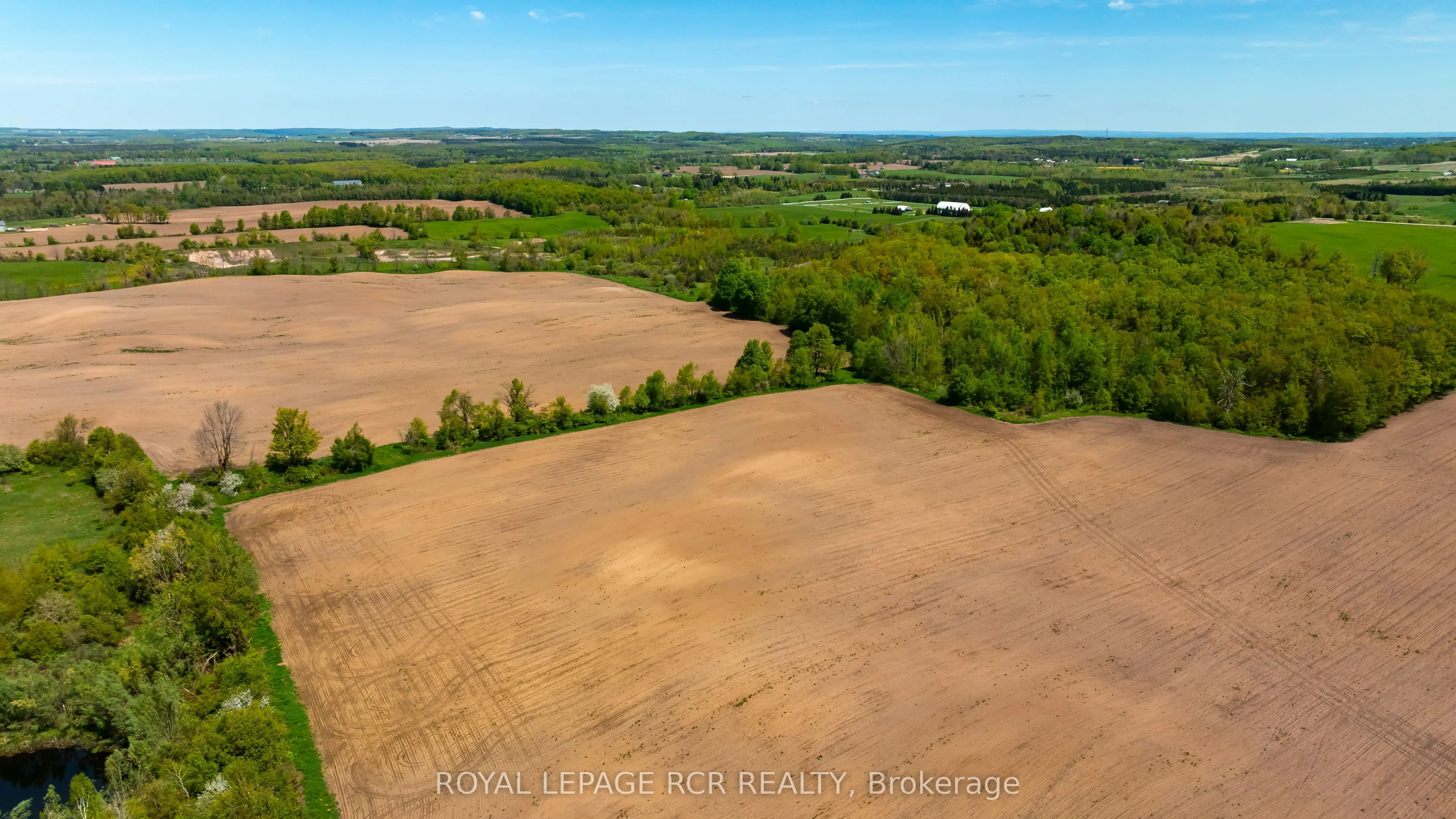555463 Mono-Amaranth Townline