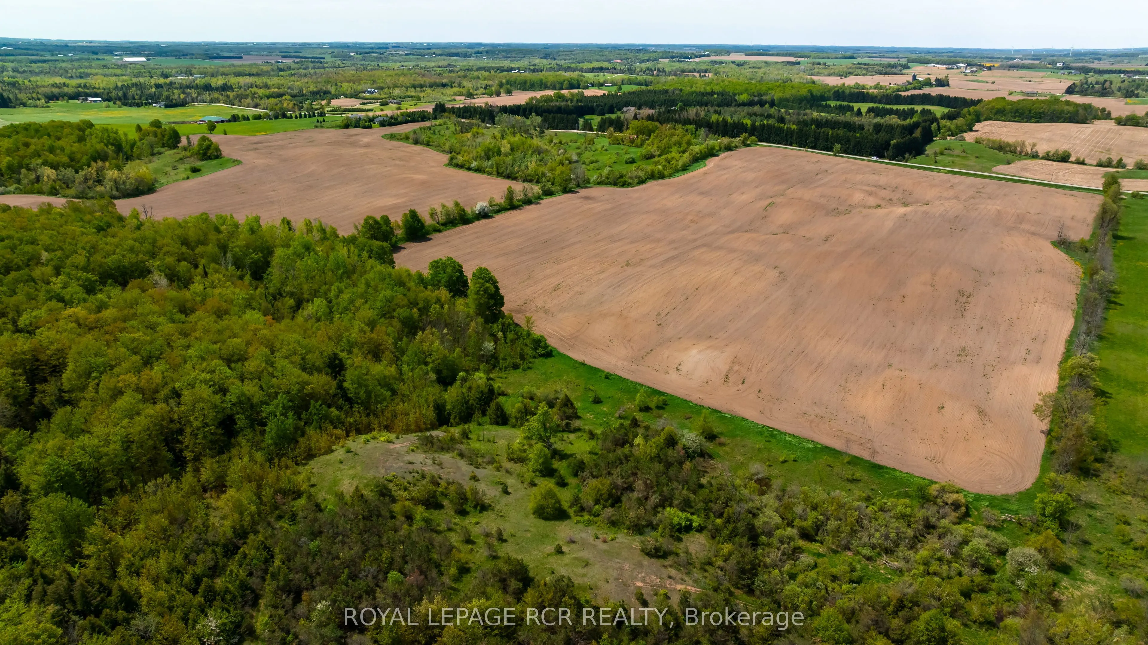 555463 Mono-Amaranth Townline