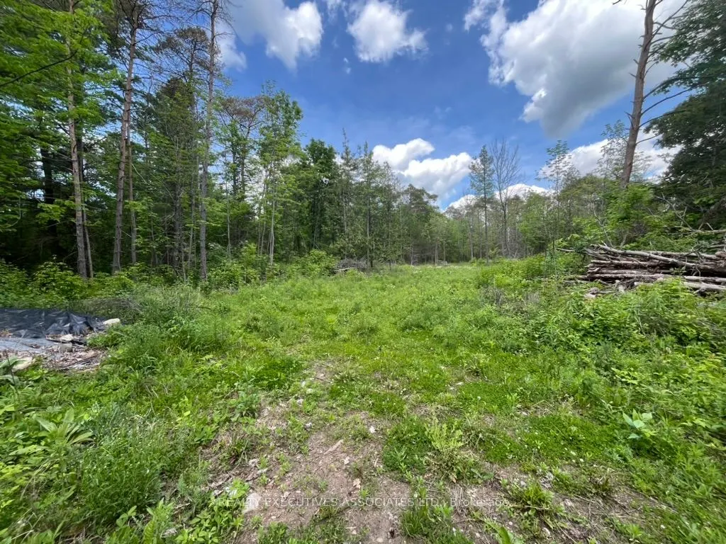 6192 County Rd 50 Road