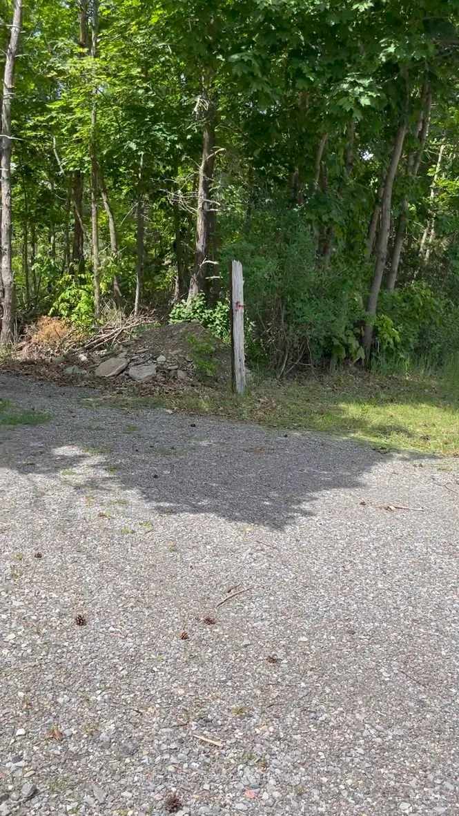 6192 County Rd 50 Road