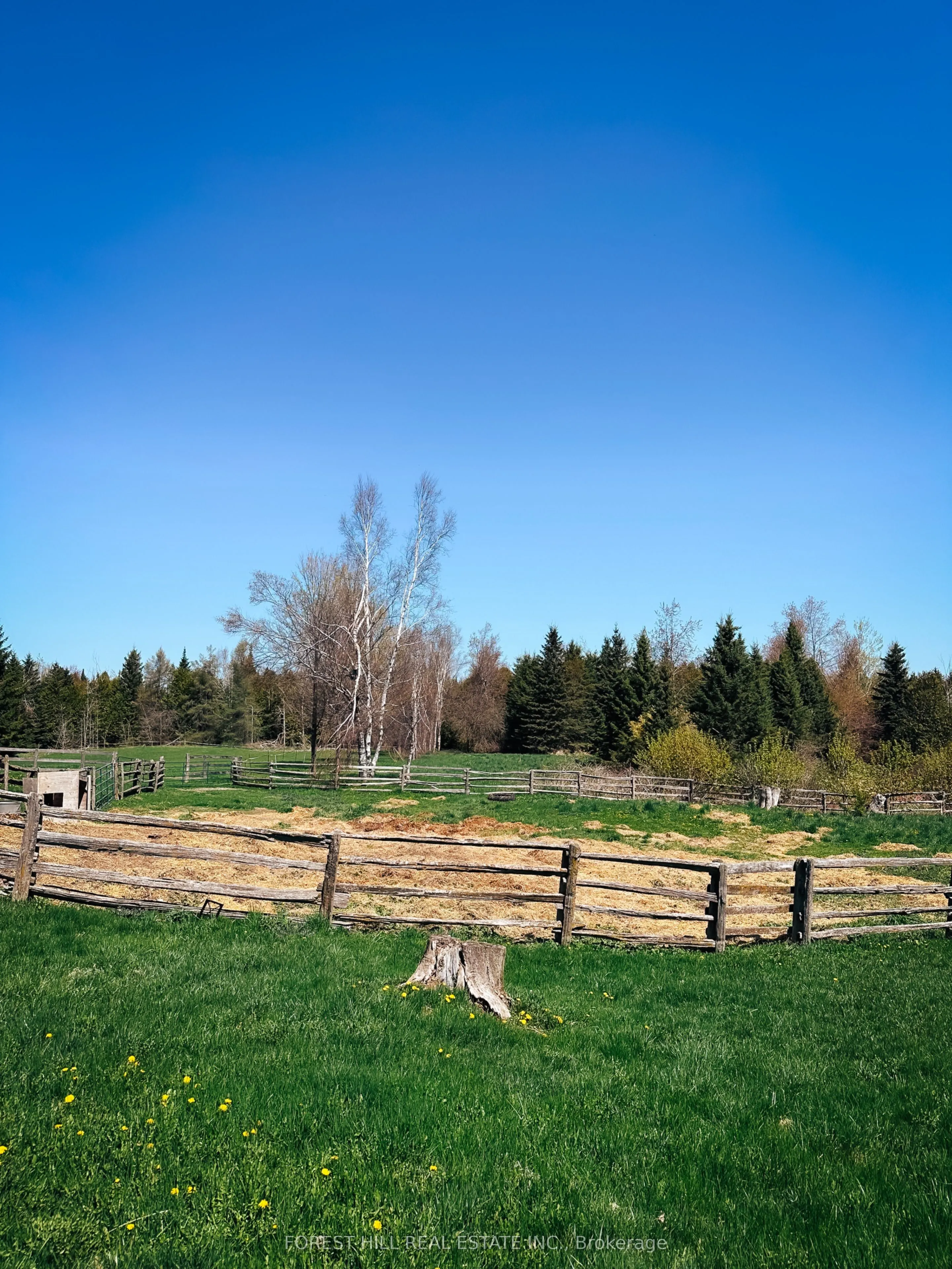 486289 30th Side Road
