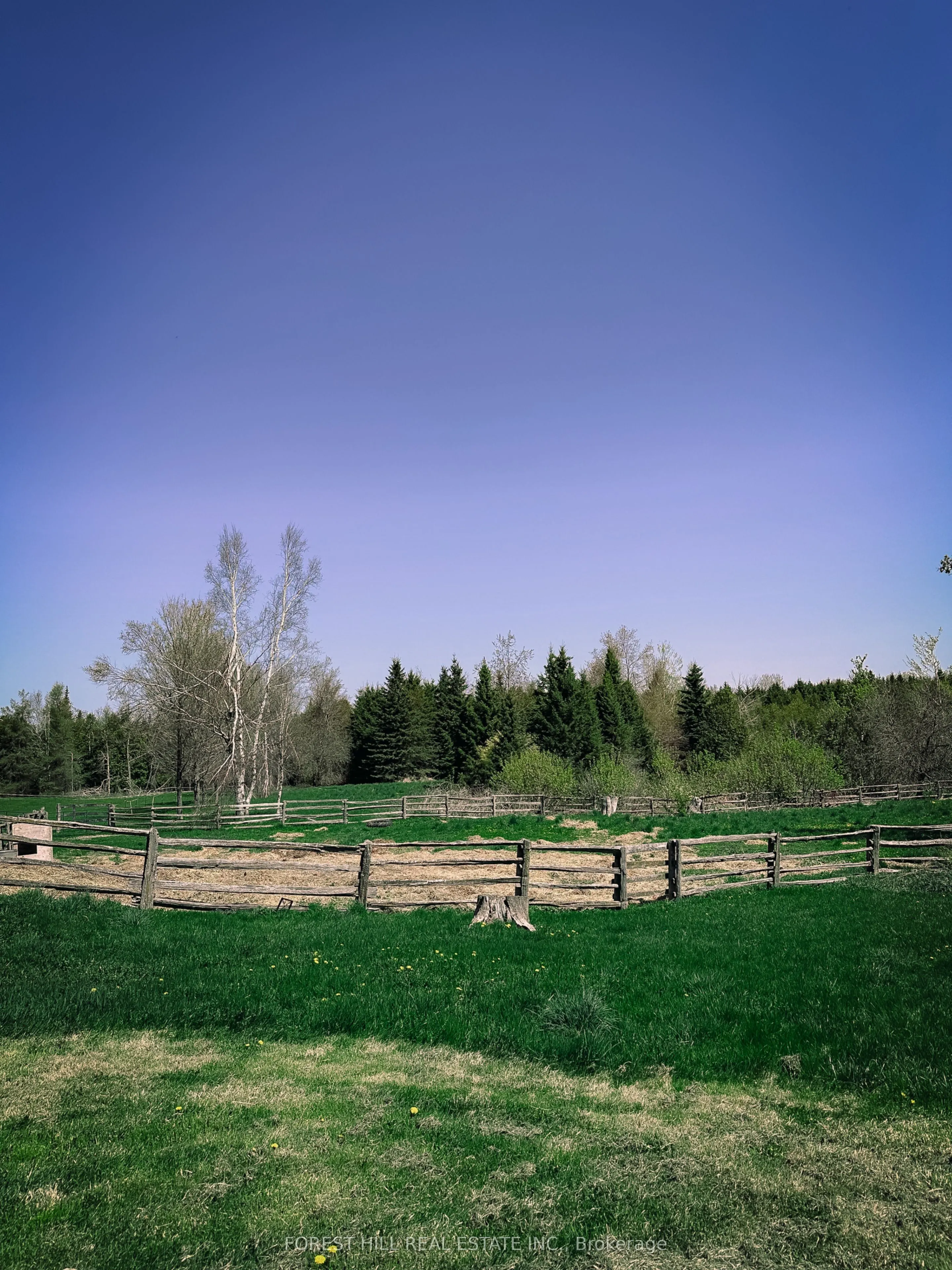 486289 30th Side Road