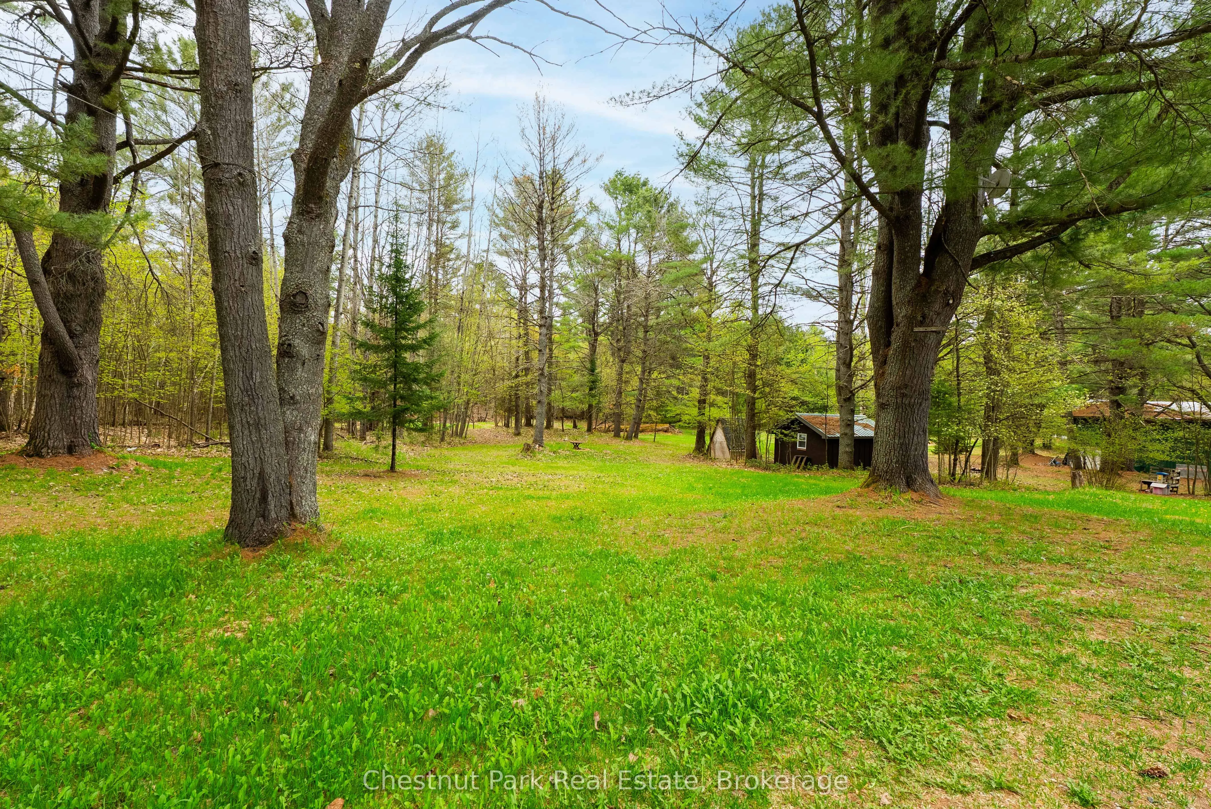 1258 Ravenscliffe Road