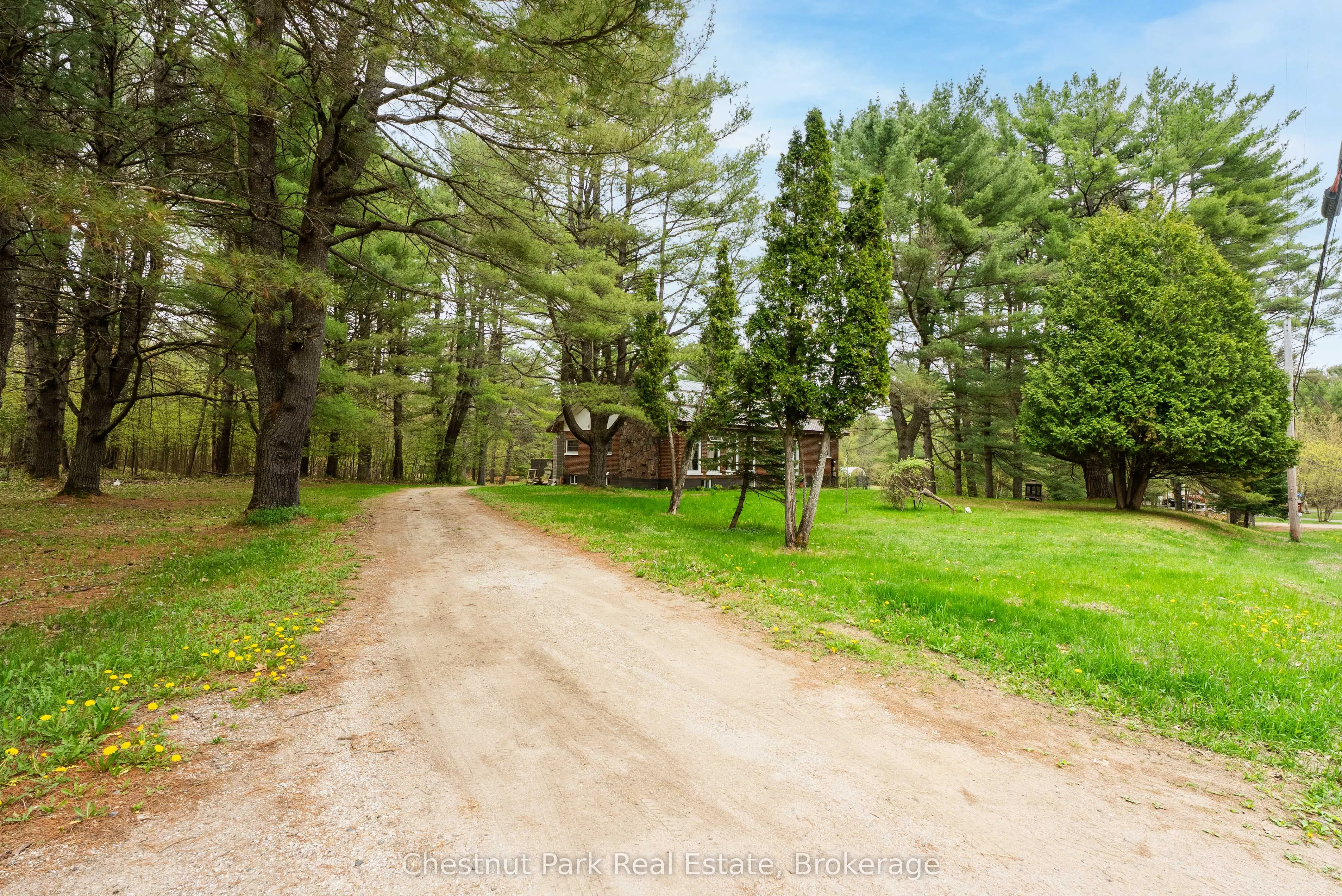 1258 Ravenscliffe Road