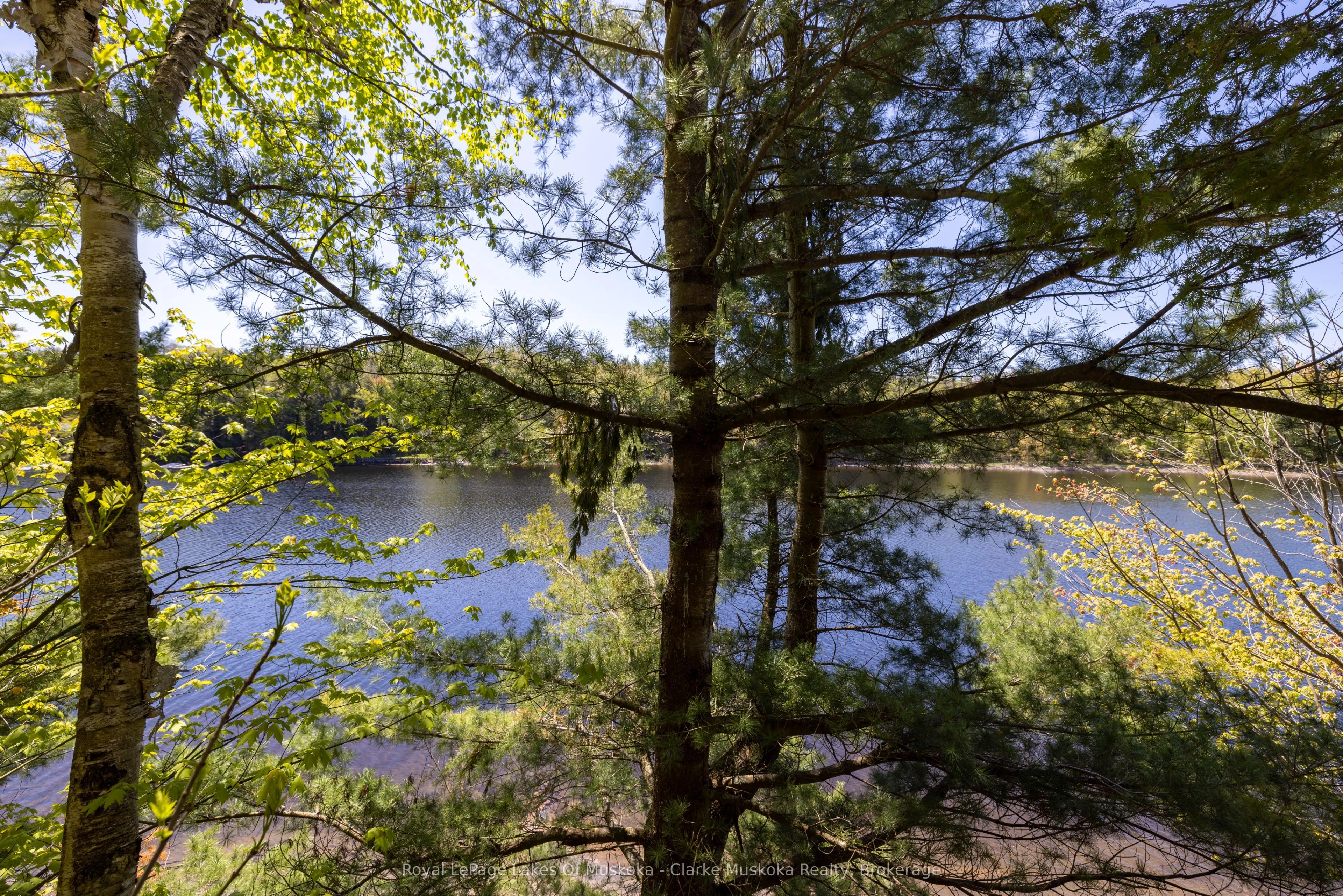1083 Harrison Trail