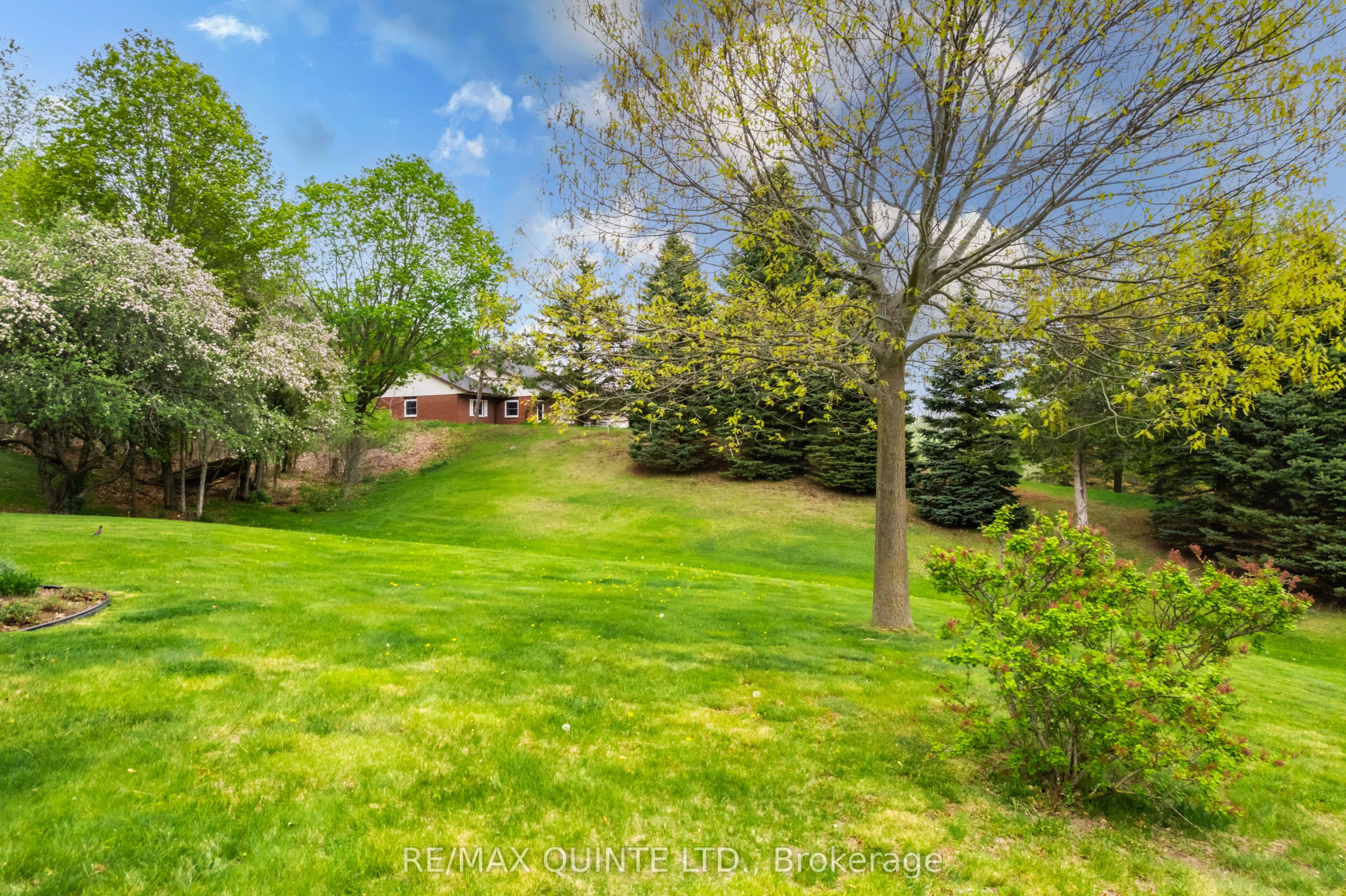38 Oakridge Drive