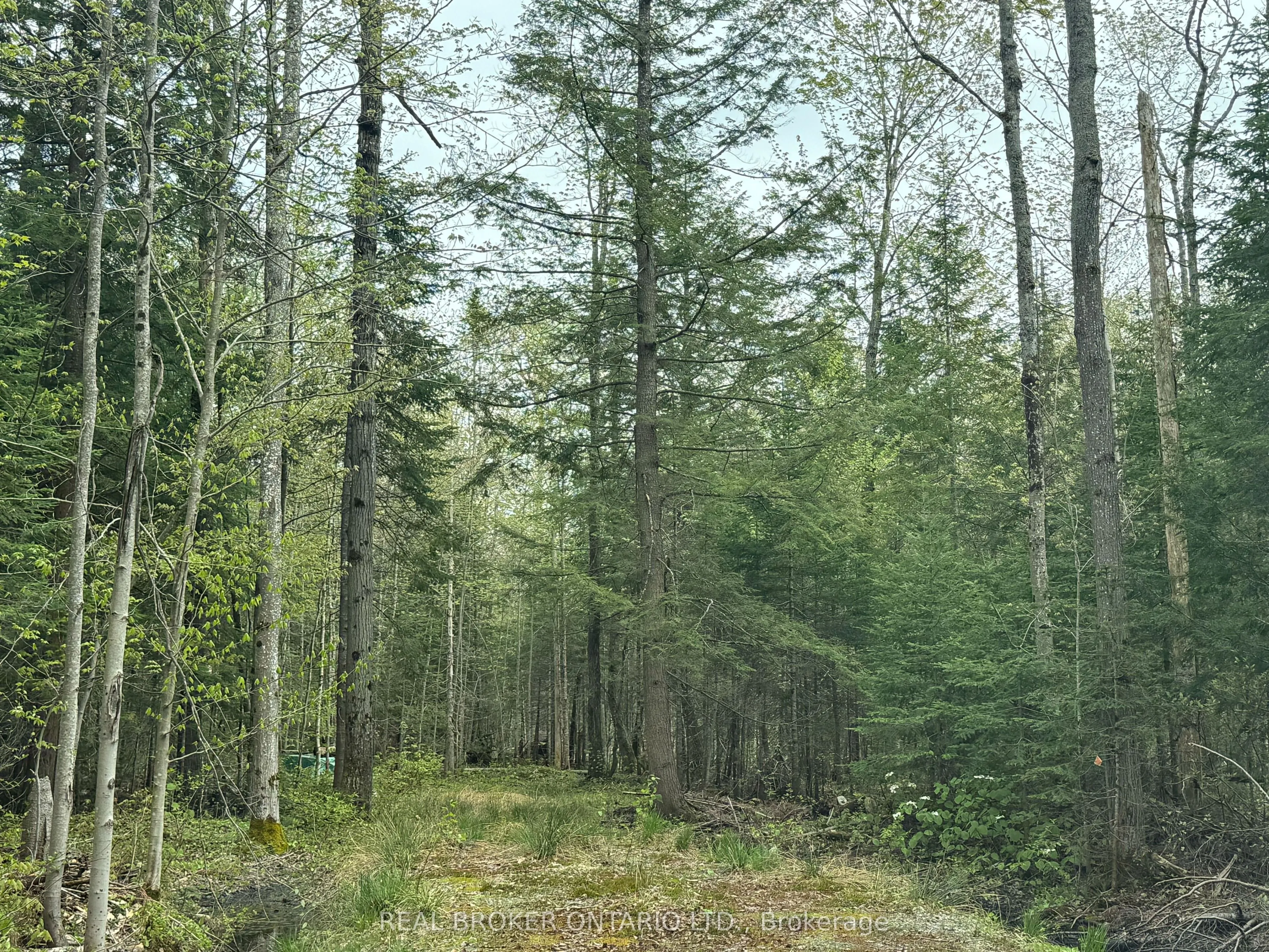 0 Bear Cave Road