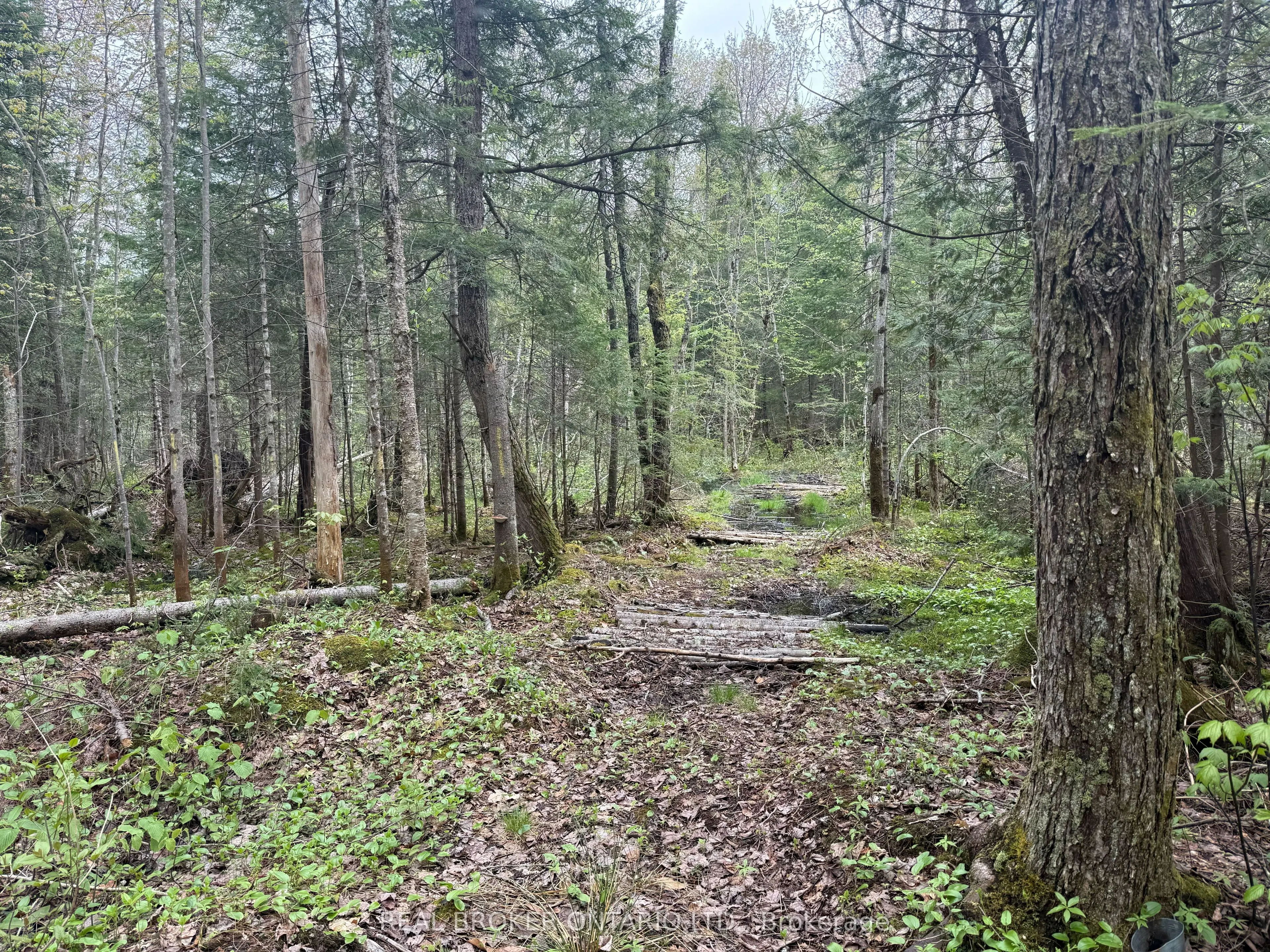 0 Bear Cave Road