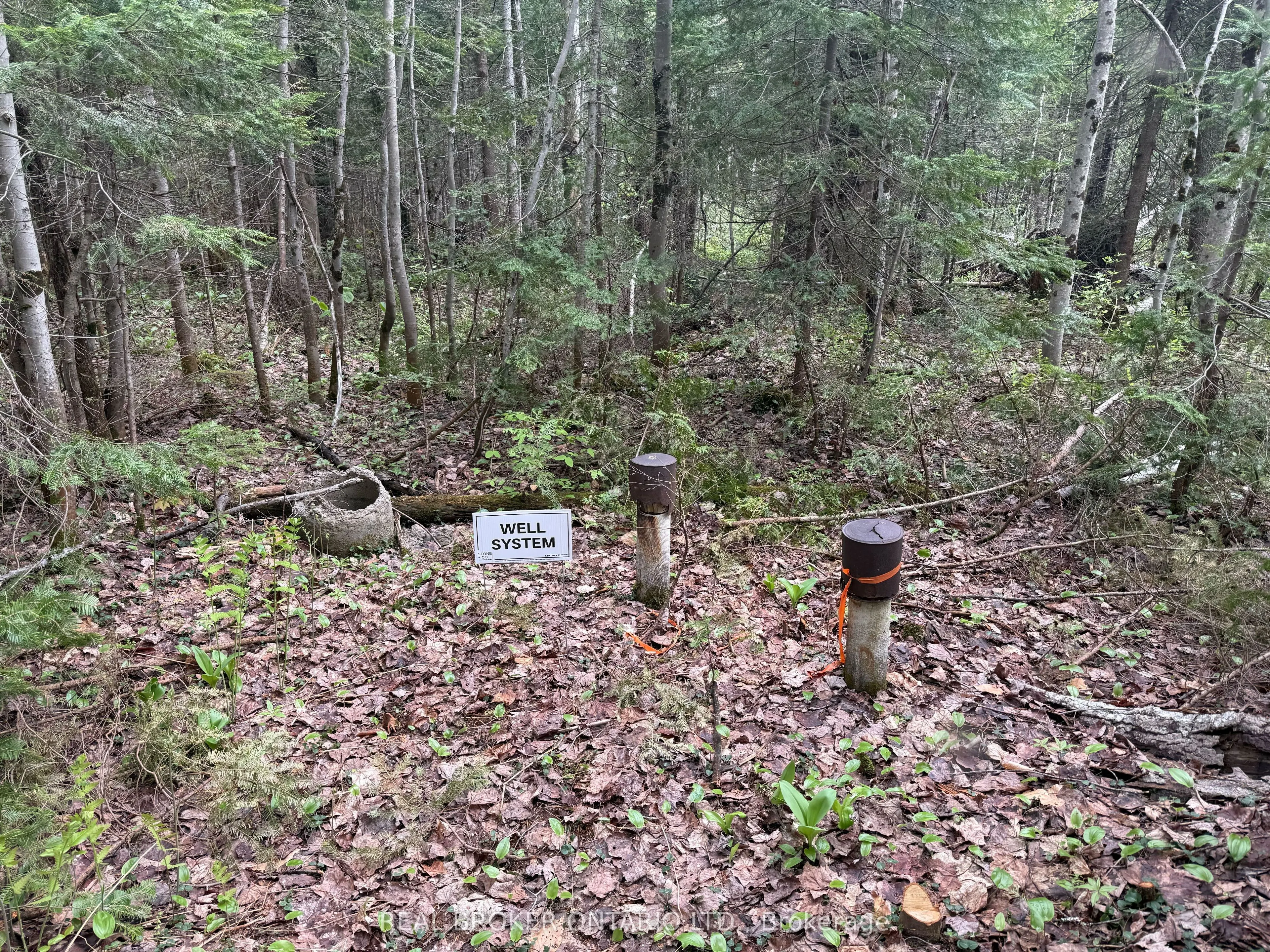 0 Bear Cave Road