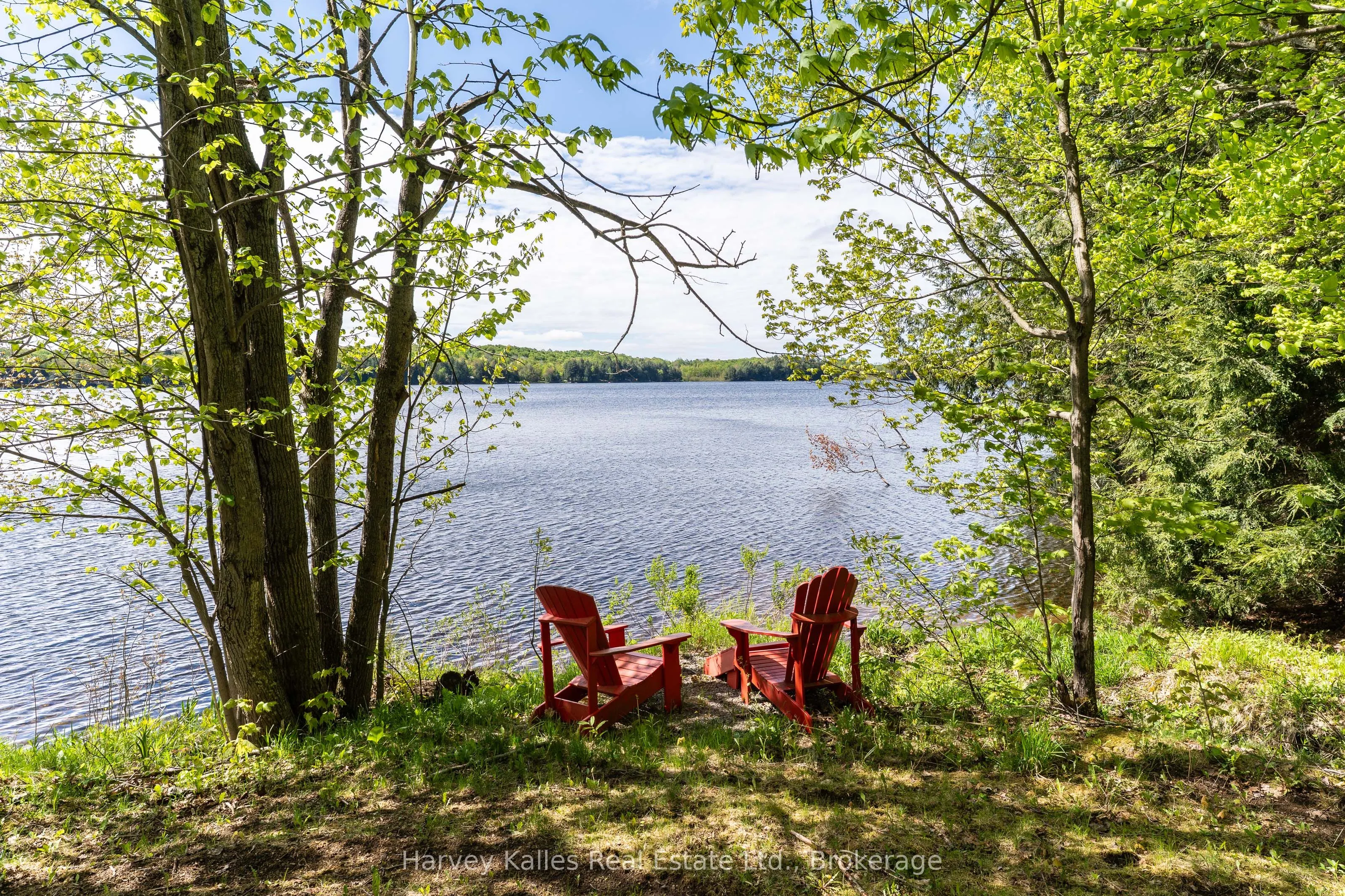 1118 North Drive, #4
