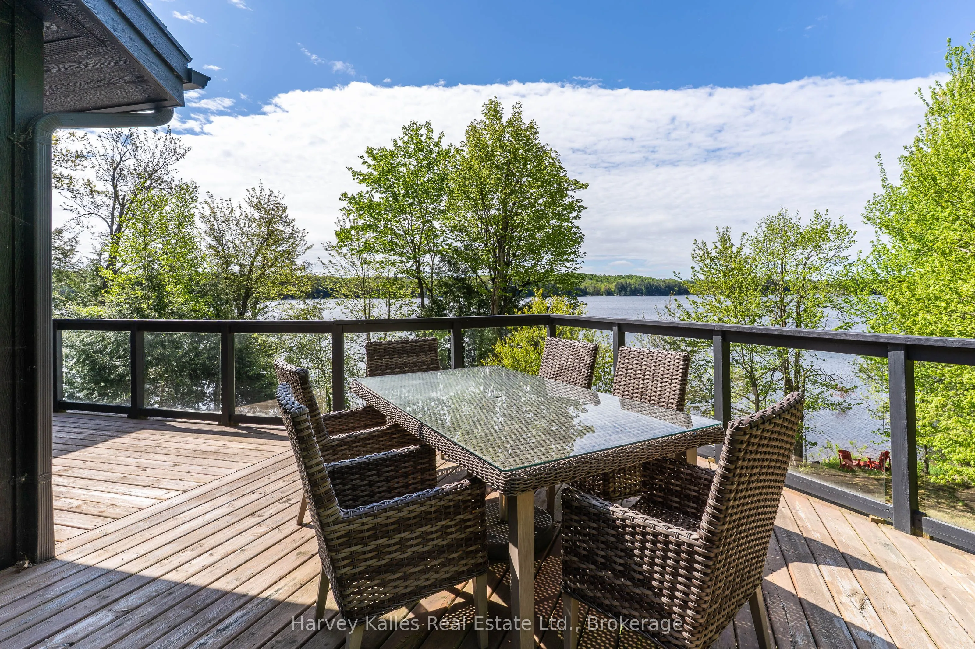 1118 North Drive, #4