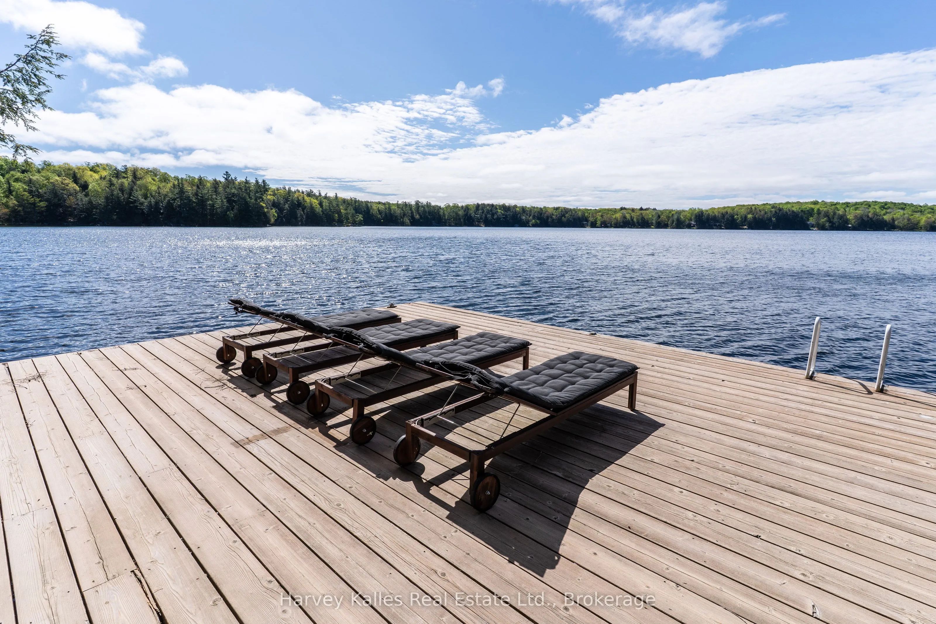 1118 North Drive, #4