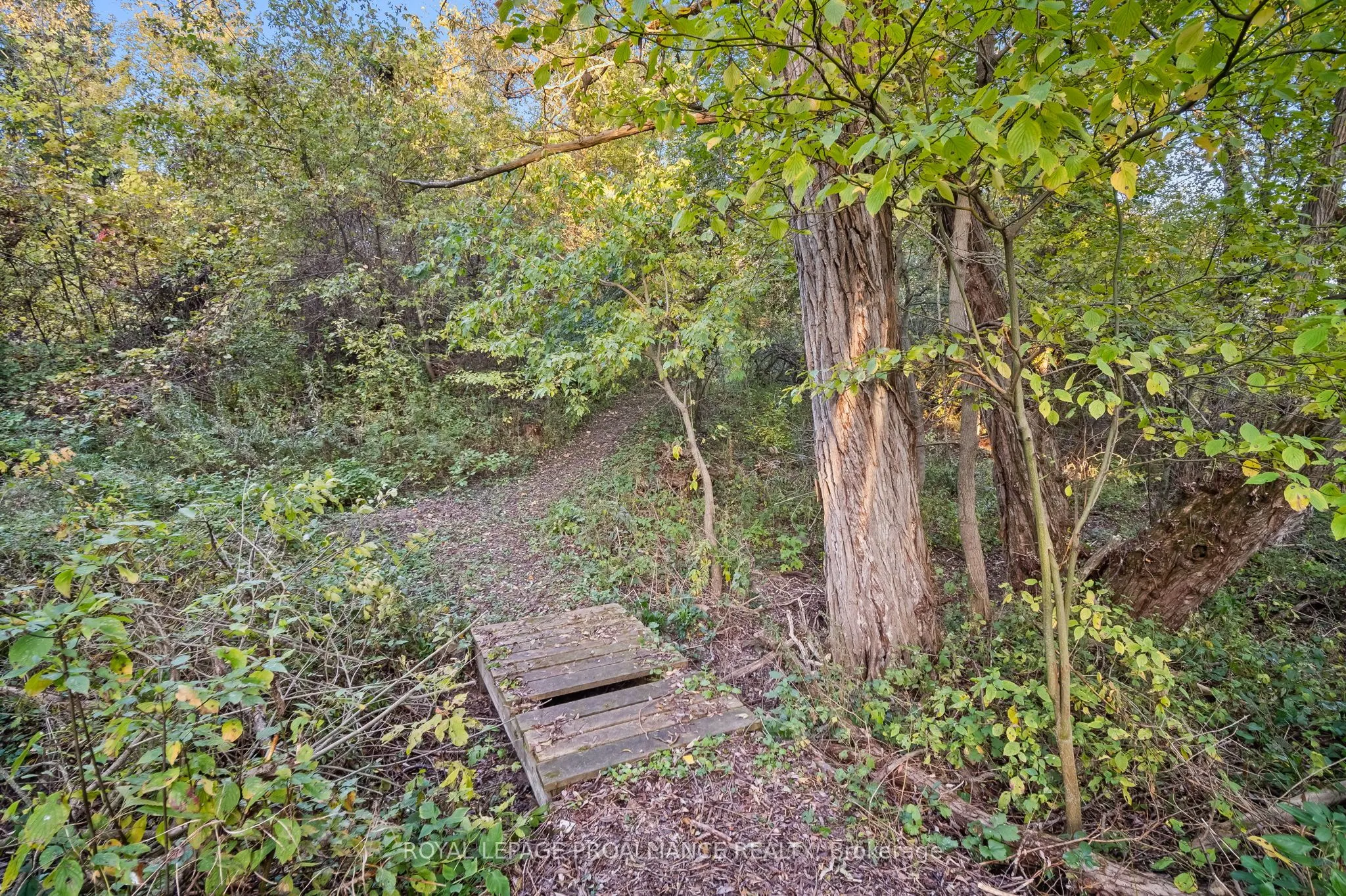 1153 Baulch Road