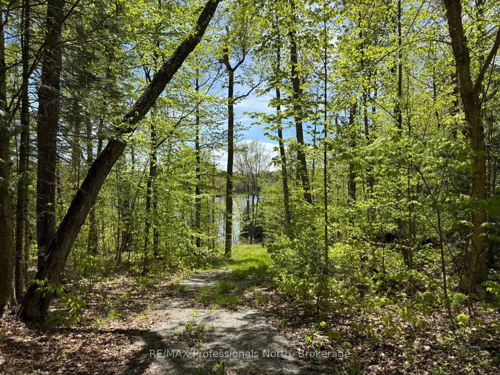 2612 Wilkinson Road