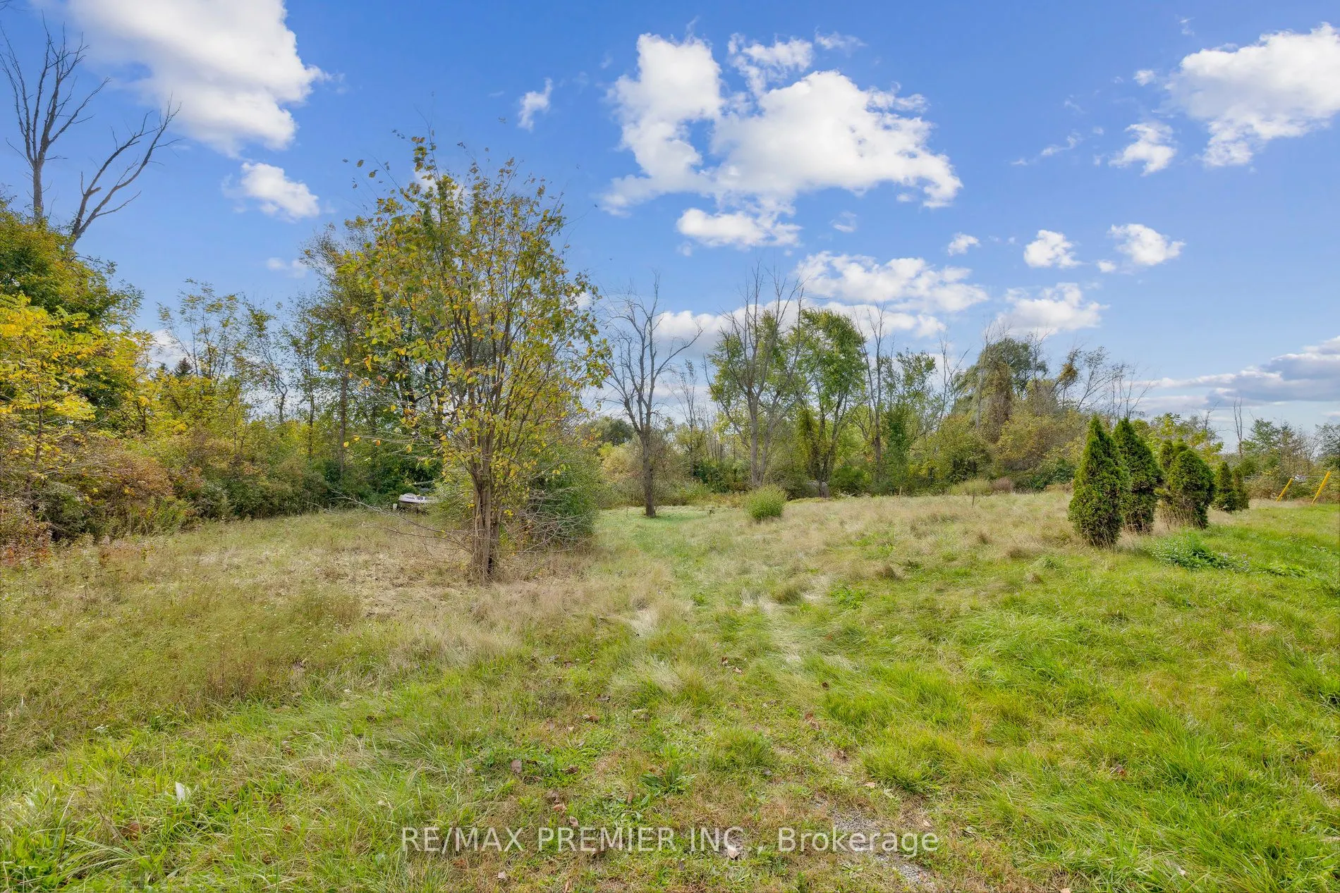 294 Lyon's Creek Road