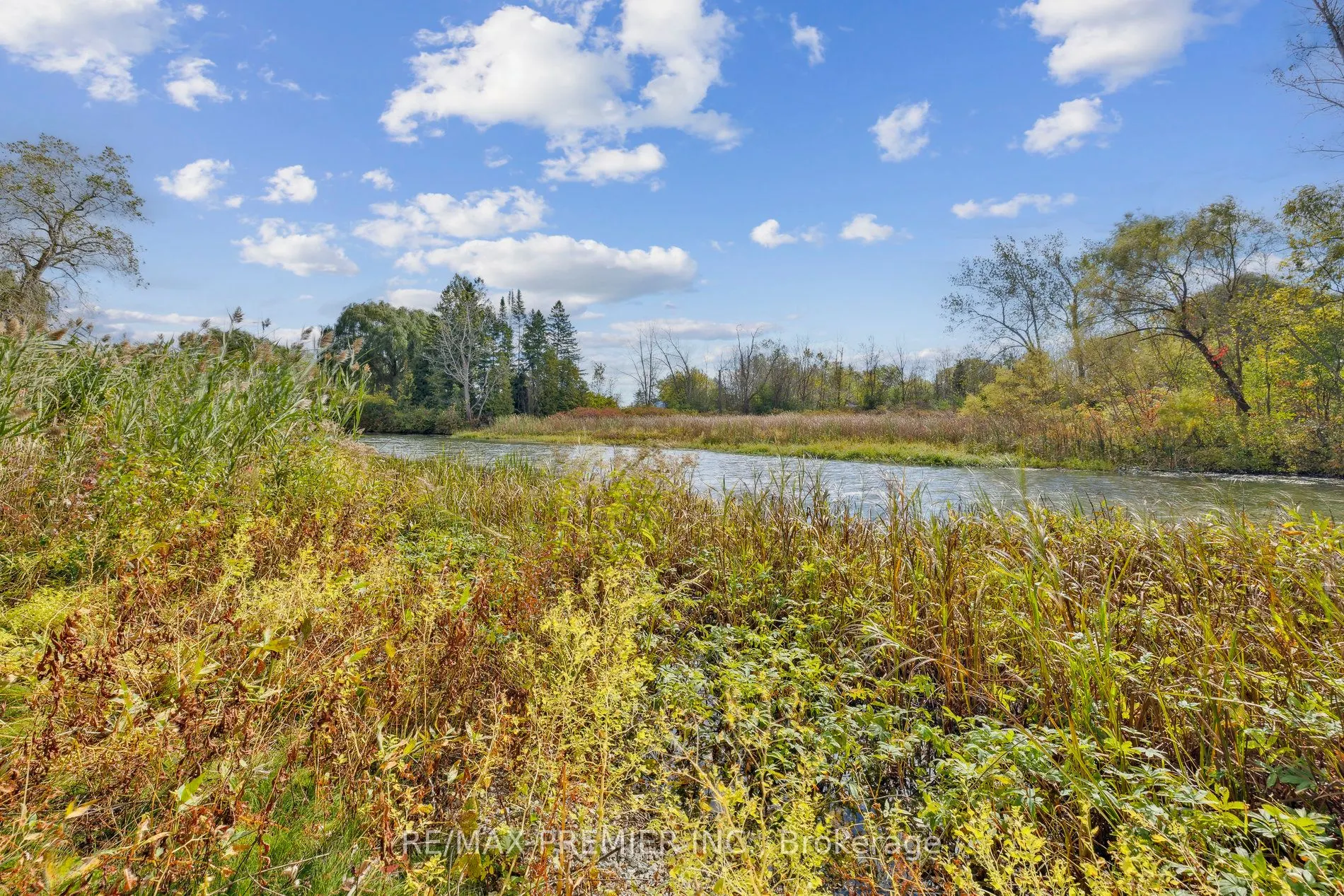 294 Lyon's Creek Road