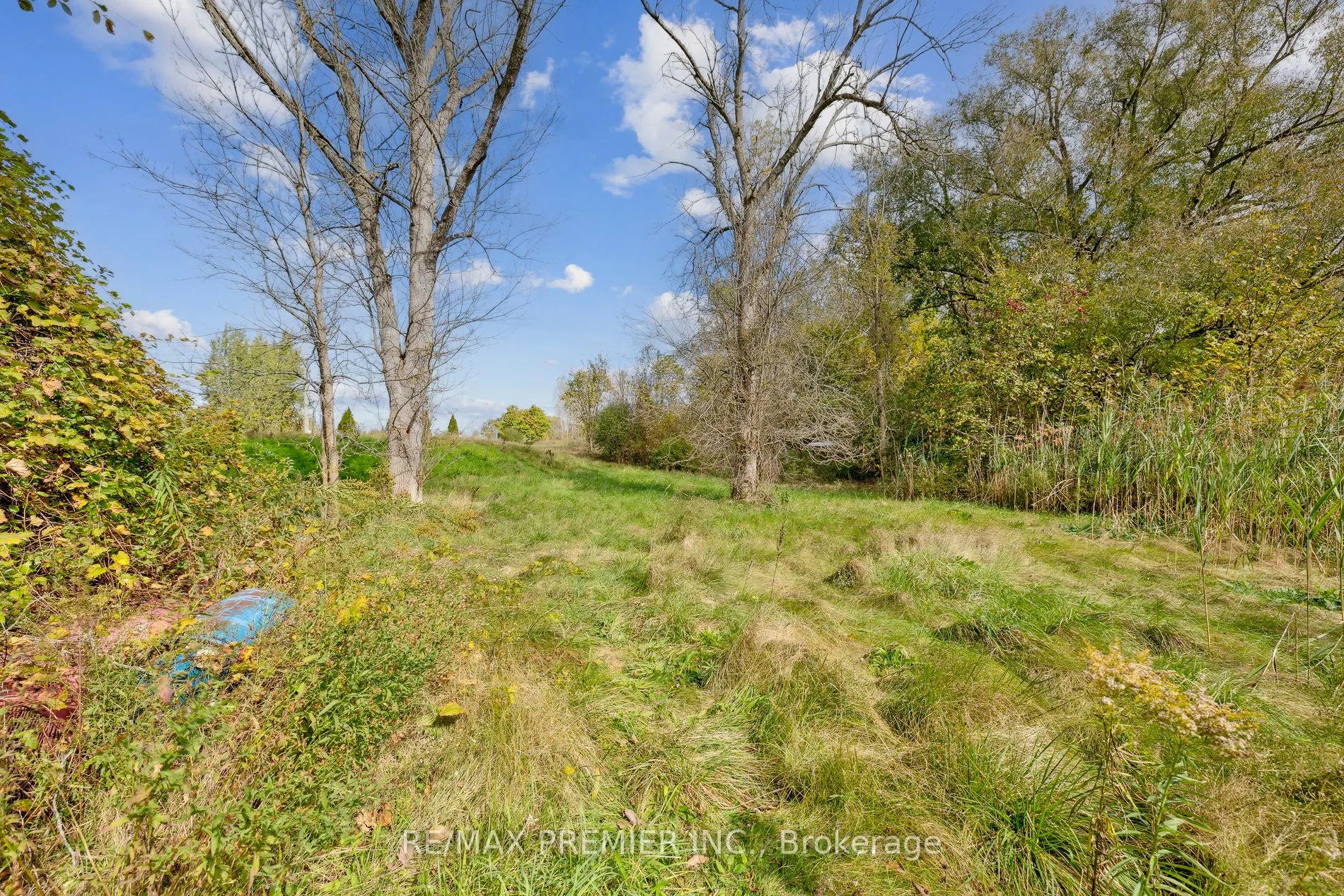 294 Lyon's Creek Road
