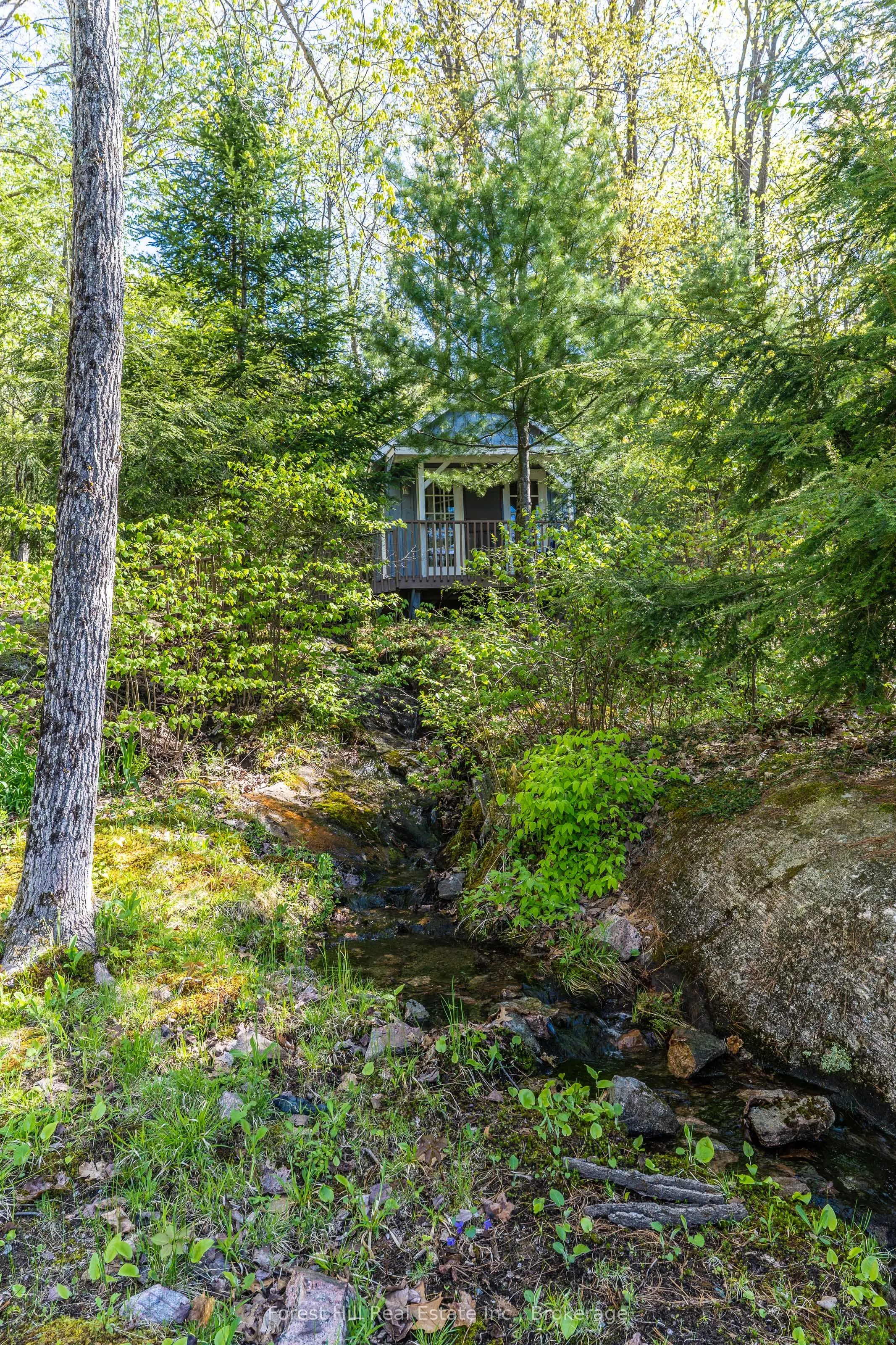 48 Raven Lake